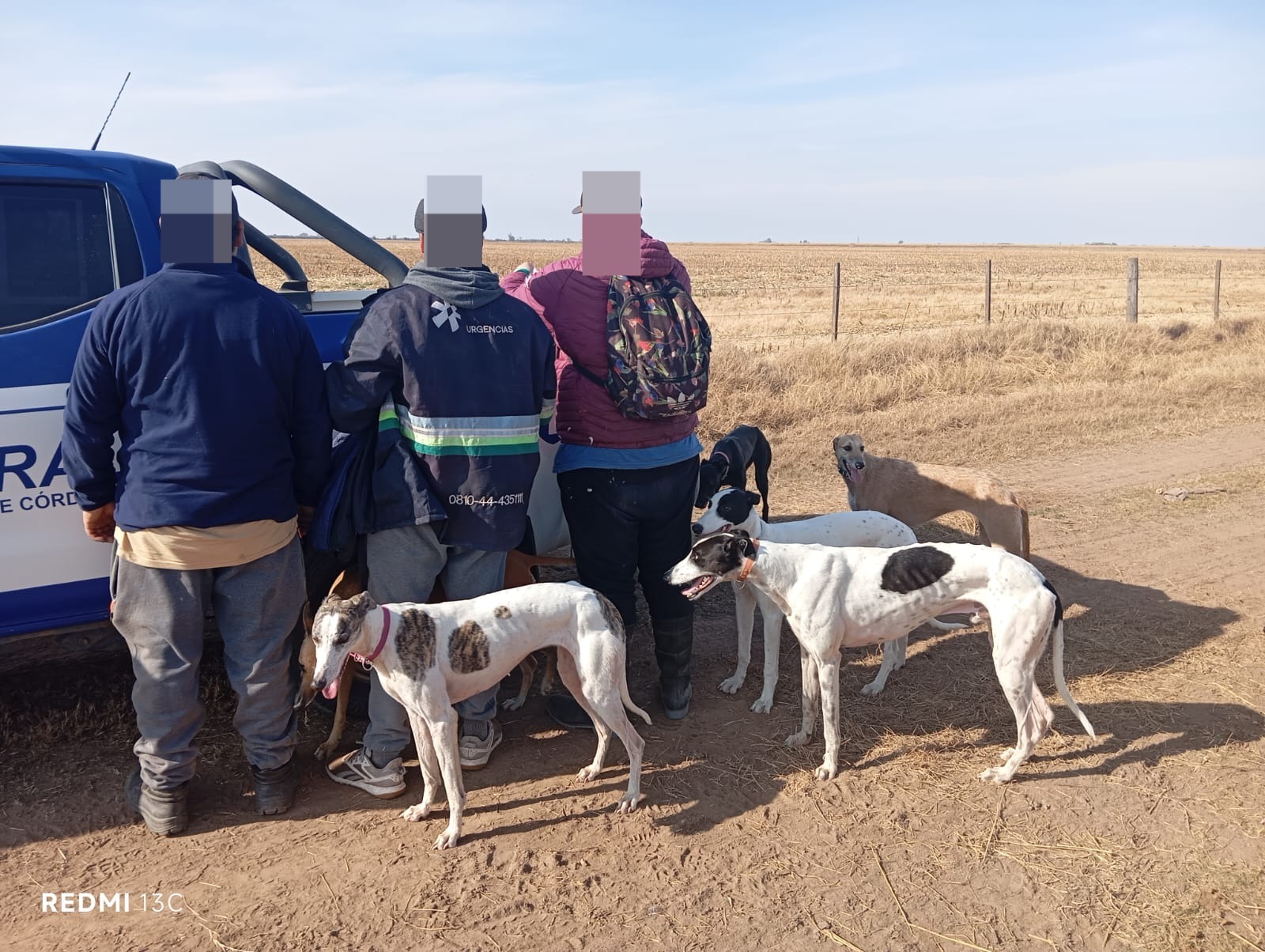 C&oacute;rdoba: detuvieron a 15 cazadores furtivos con decenas de perros galgos en cuatro operativos en zonas rurales