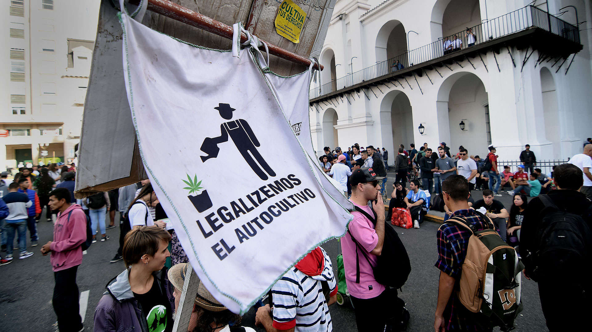Movilización en Plaza de Mayo para reclamar la legalización del autocultivo (Nicolás Stulberg)
