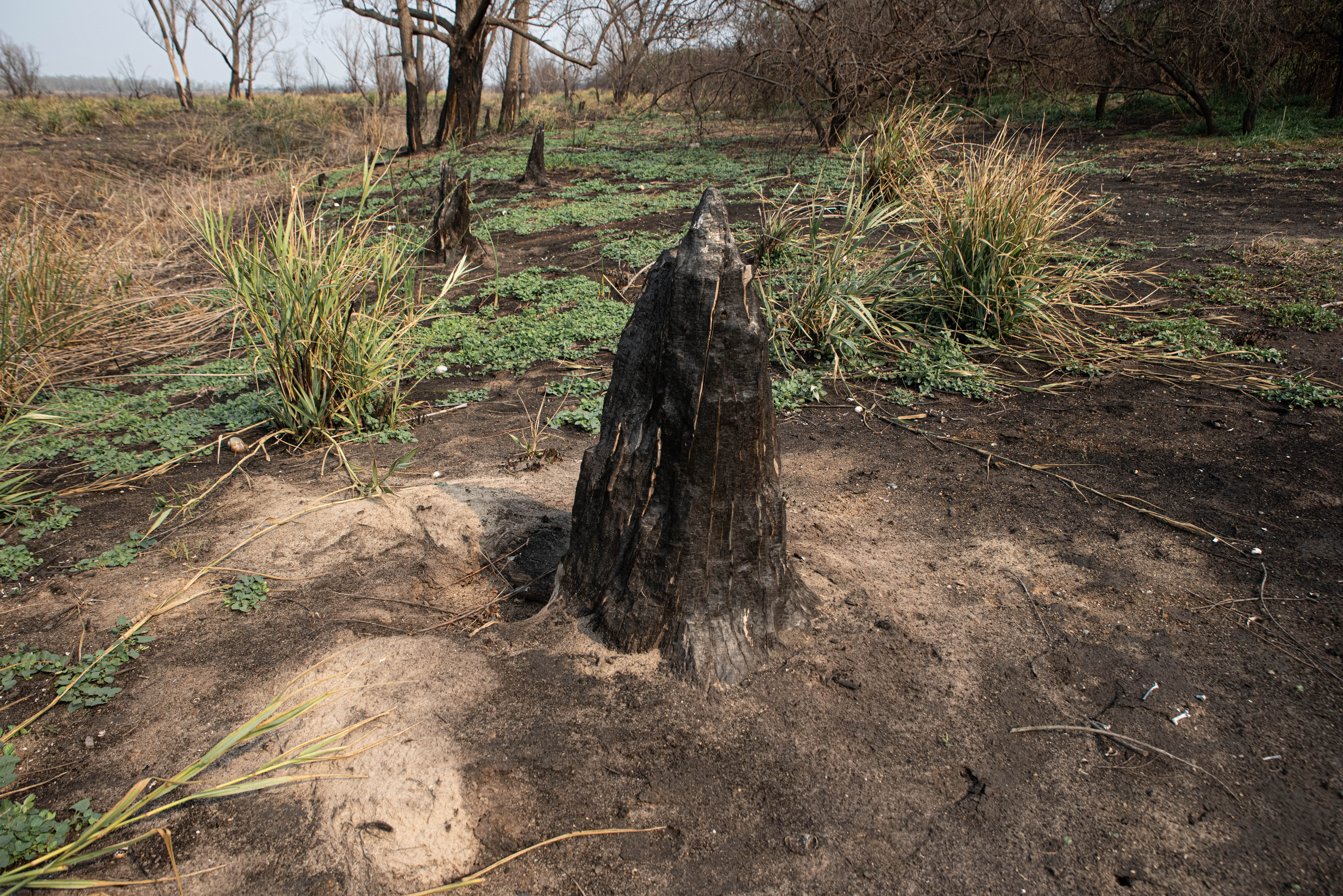 Algunas viviendas de la zona corren riesgo de ser alcanzadas por el fuego, que es combatido por decenas de brigadistas