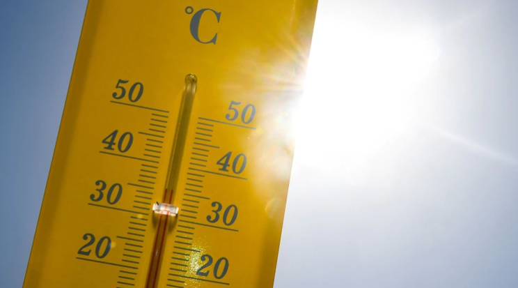 El planeta se calentaría 1,5 grados en los próximos 19 años (AFP)