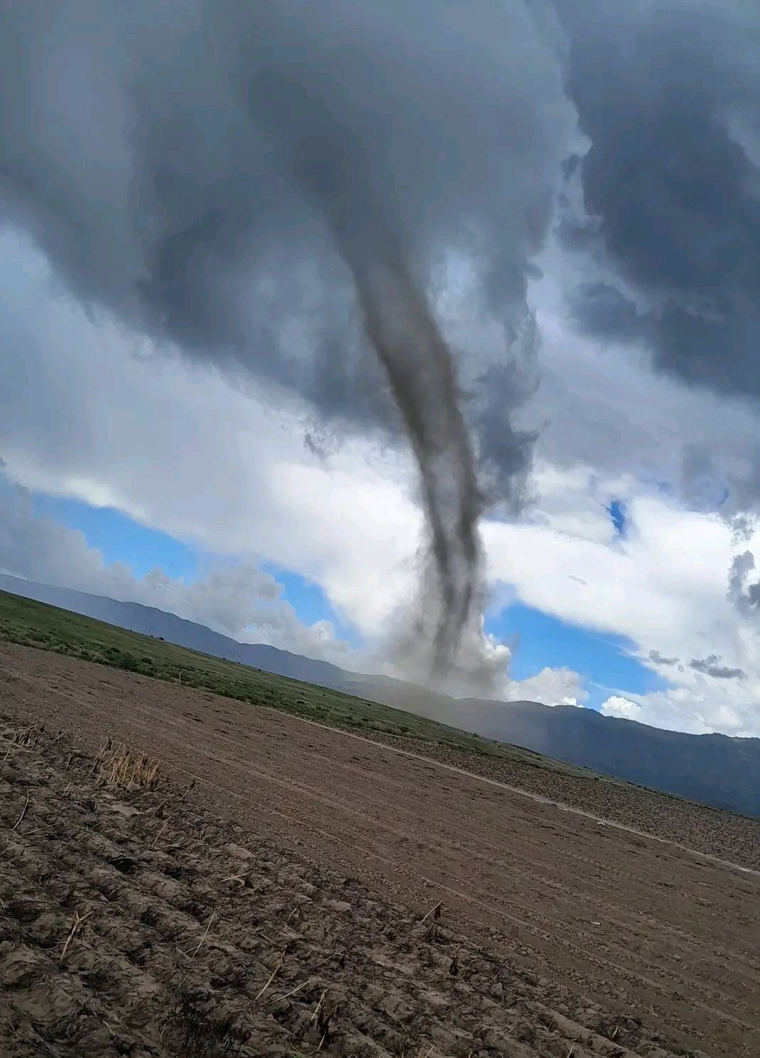 Carolina Moisés acusó a La Cámpora por la falta de diálogo dentro del PJ: “Son adoradores del fracaso”