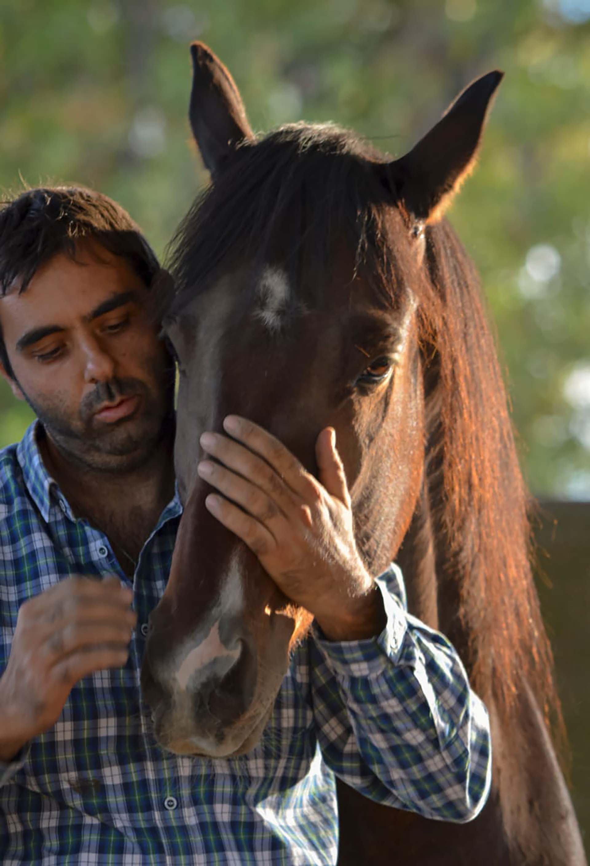 Ariel Corse, de 44 años, está casado y tiene dos hijos. Los caballos que salva y rehabilita los considera sus amigos, a quienes aprendió a interpretar y a mirar en conjunto