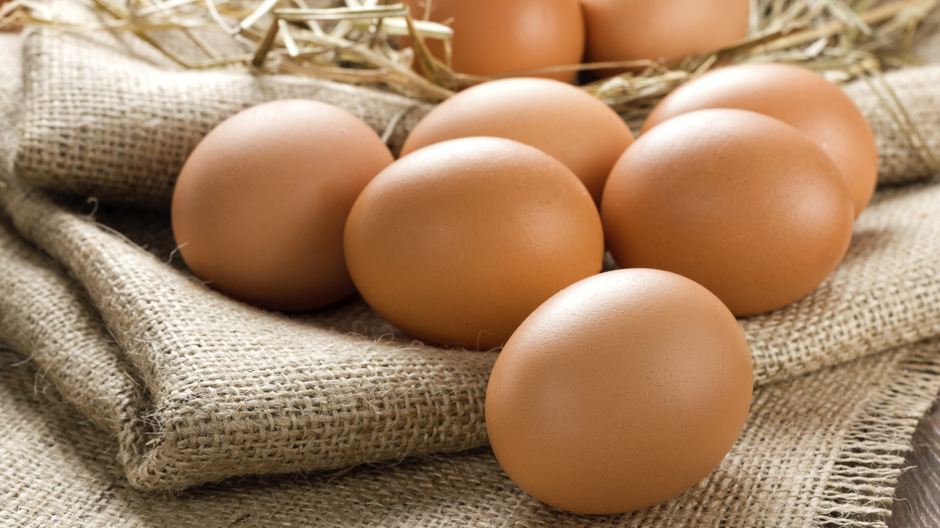 La gripe aviar no se transmite a las personas por el consumo de pollos, pavos o huevos/Archivo