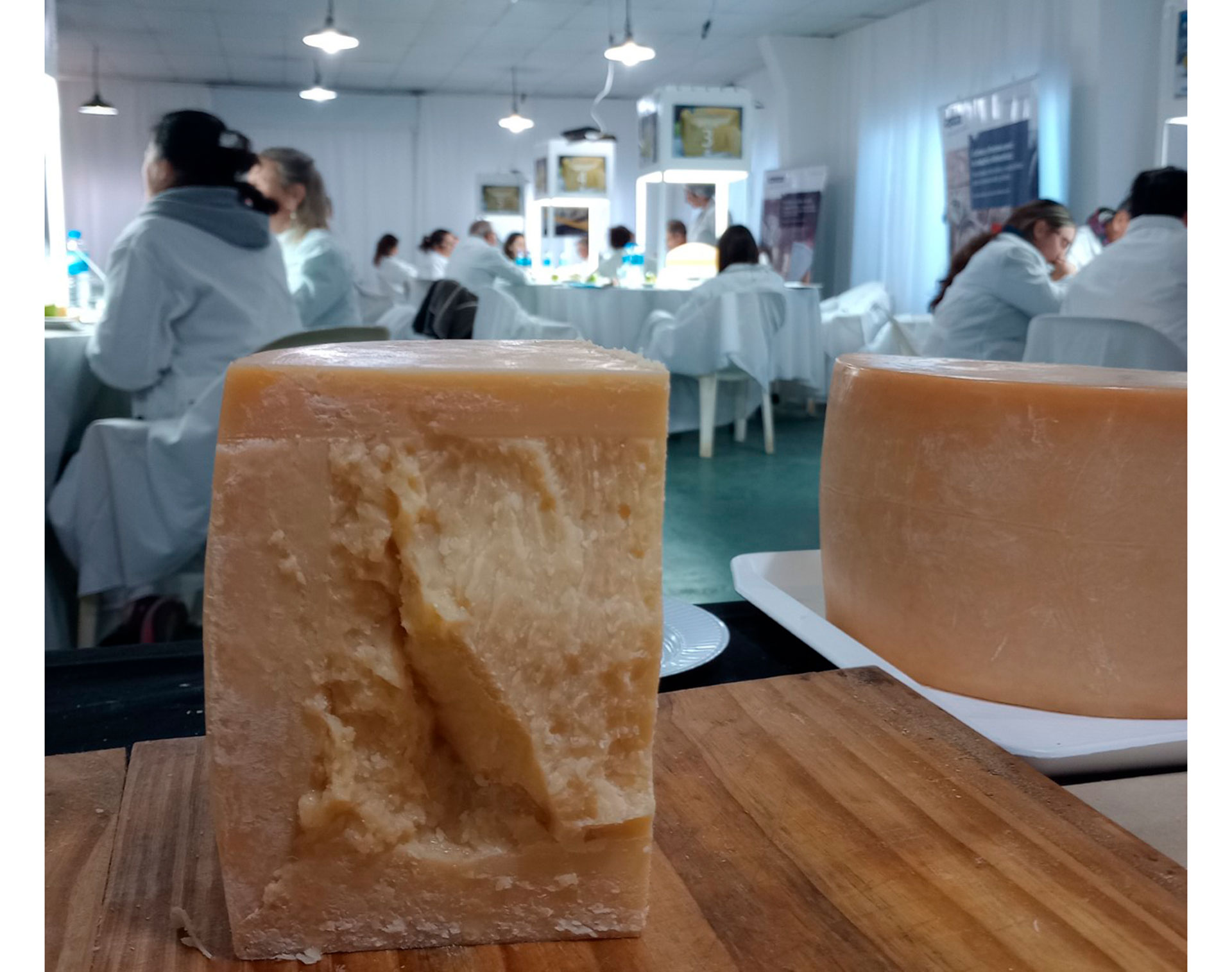 El queso Sardo, originario de Cerdeña, Italia, es ideal para acompañar tanto con vinos tintos como blancos. Es un queso de mesa o también se puede rallar para incorporar a las comidas