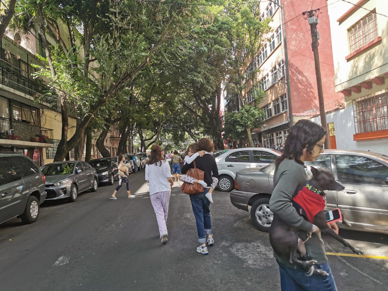 Foto: Infobae México.
