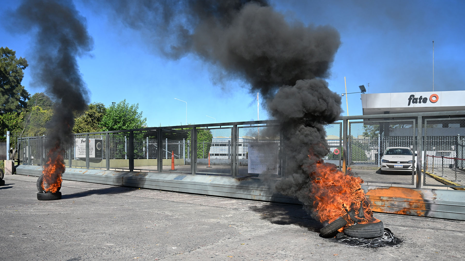 Flavio Briatore elogió a Franco Colapinto: el “as en la manga” que guarda Alpine de cara al inicio de la Fórmula 1