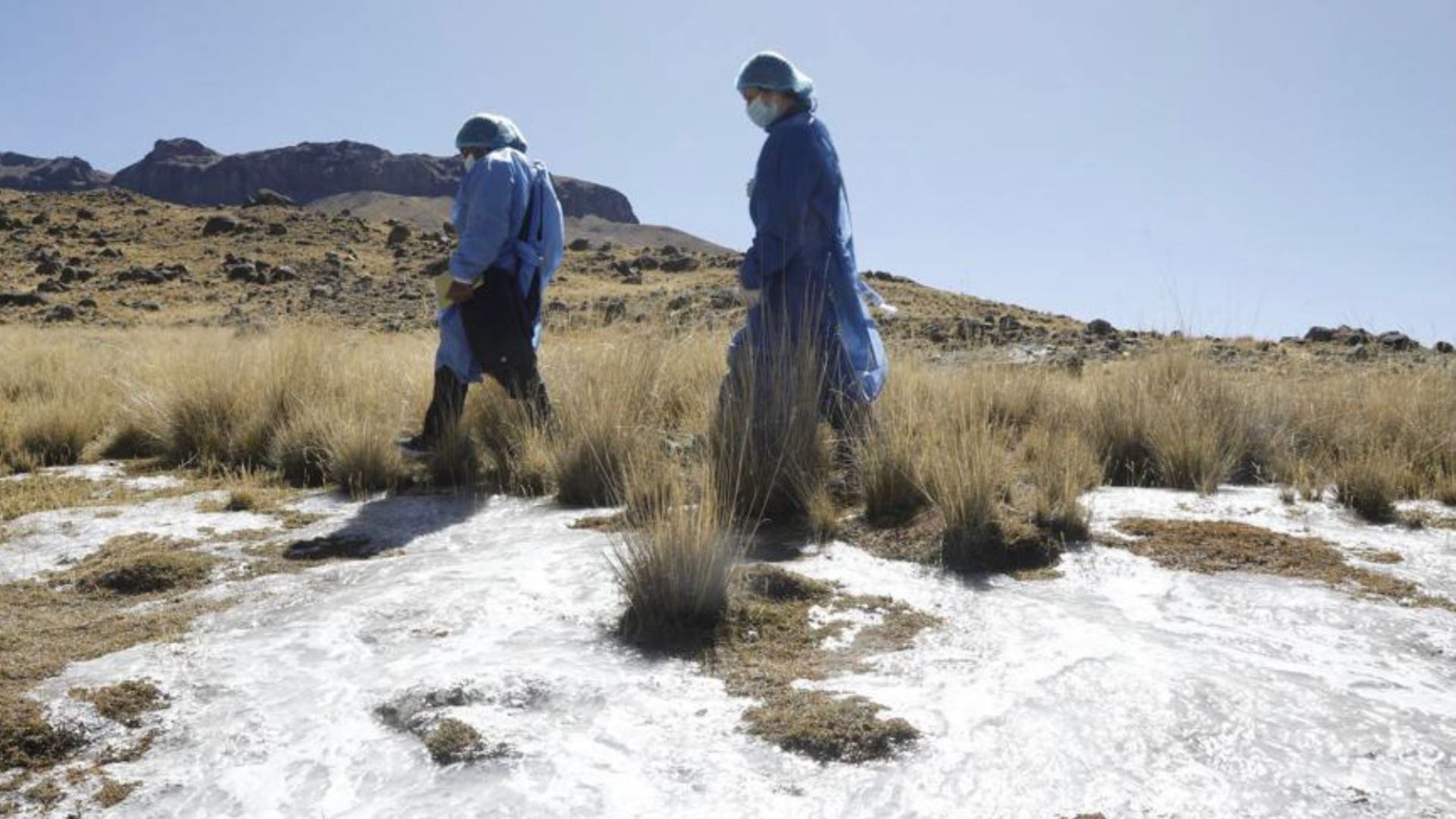 Más De 223 Mil Peruanos Fueron Vacunados Contra La Influenza Y