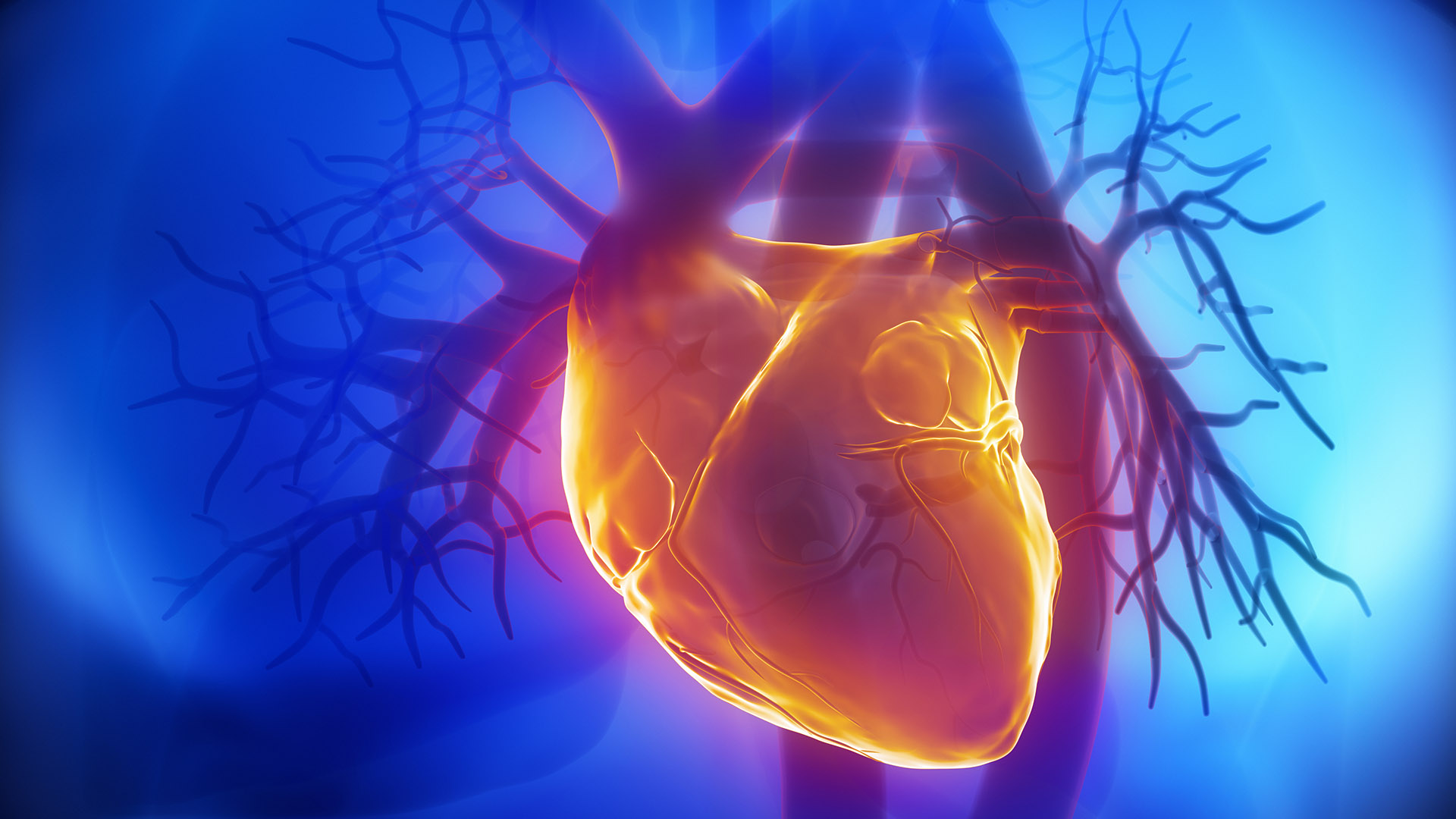 Existen varios registros de pacientes que experimentaron problemas cardíacos después de contraer COVID-19 (Shutterstock)