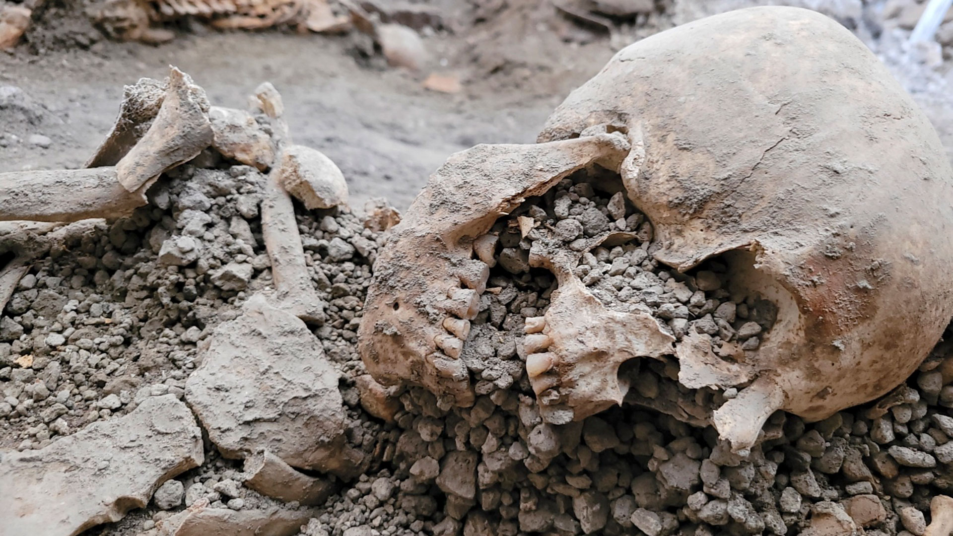 Nuevos hallazgos de restos humanos en Pompeya confirman una teoría: no sólo la lava del Vesubio mató a sus habitantes