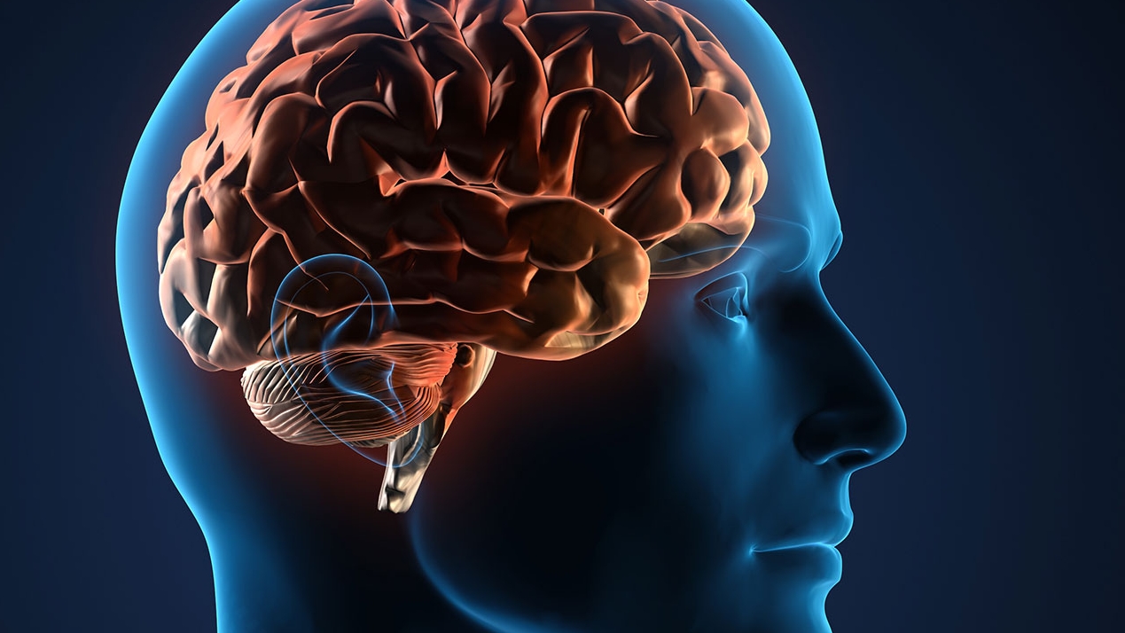 Los cerebros de los superancianos parecen más jóvenes en áreas implicadas en la memoria y las habilidades ejecutivas (Getty)