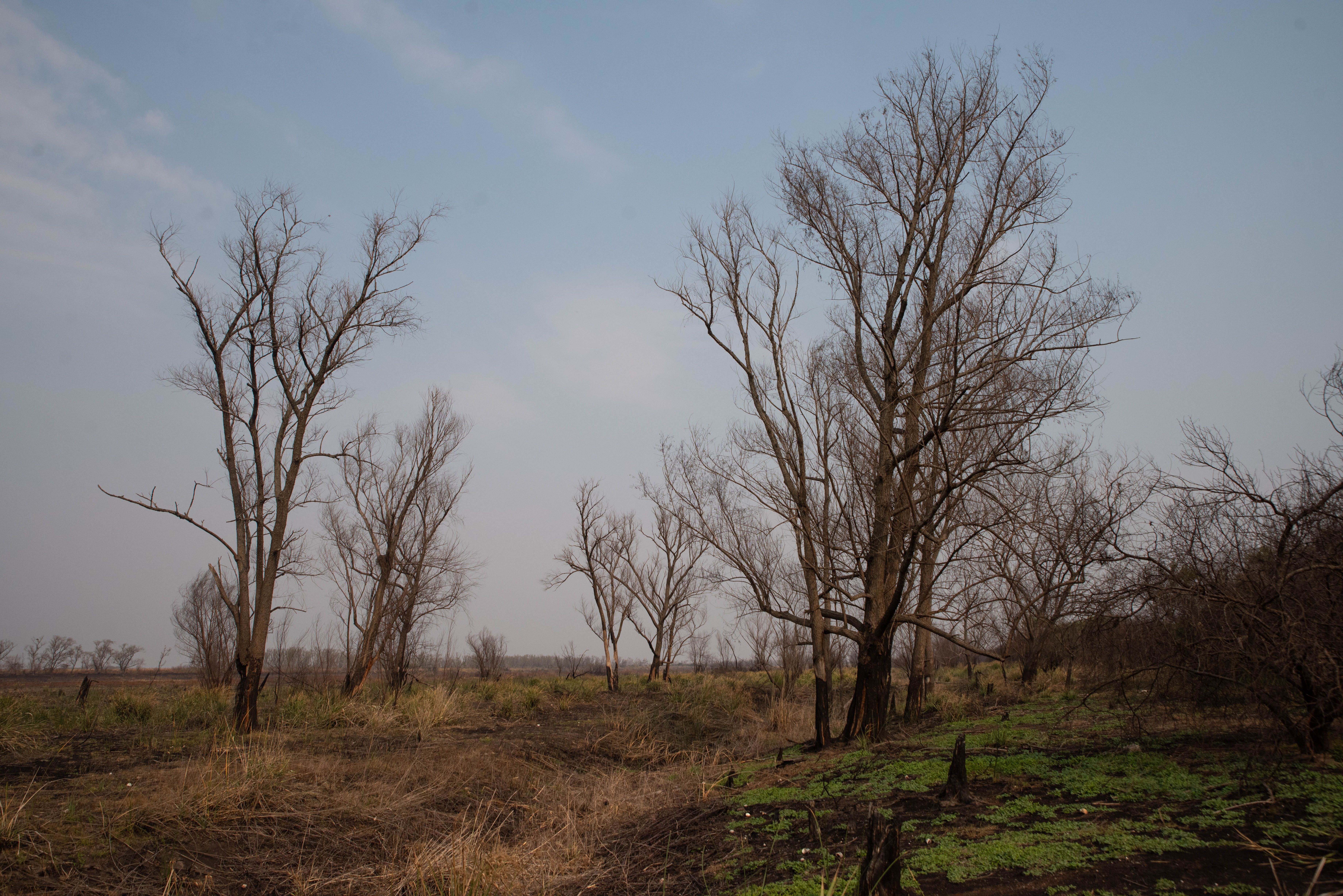 El humo que generaron los incendios llegó a Buenos Aires la última semana