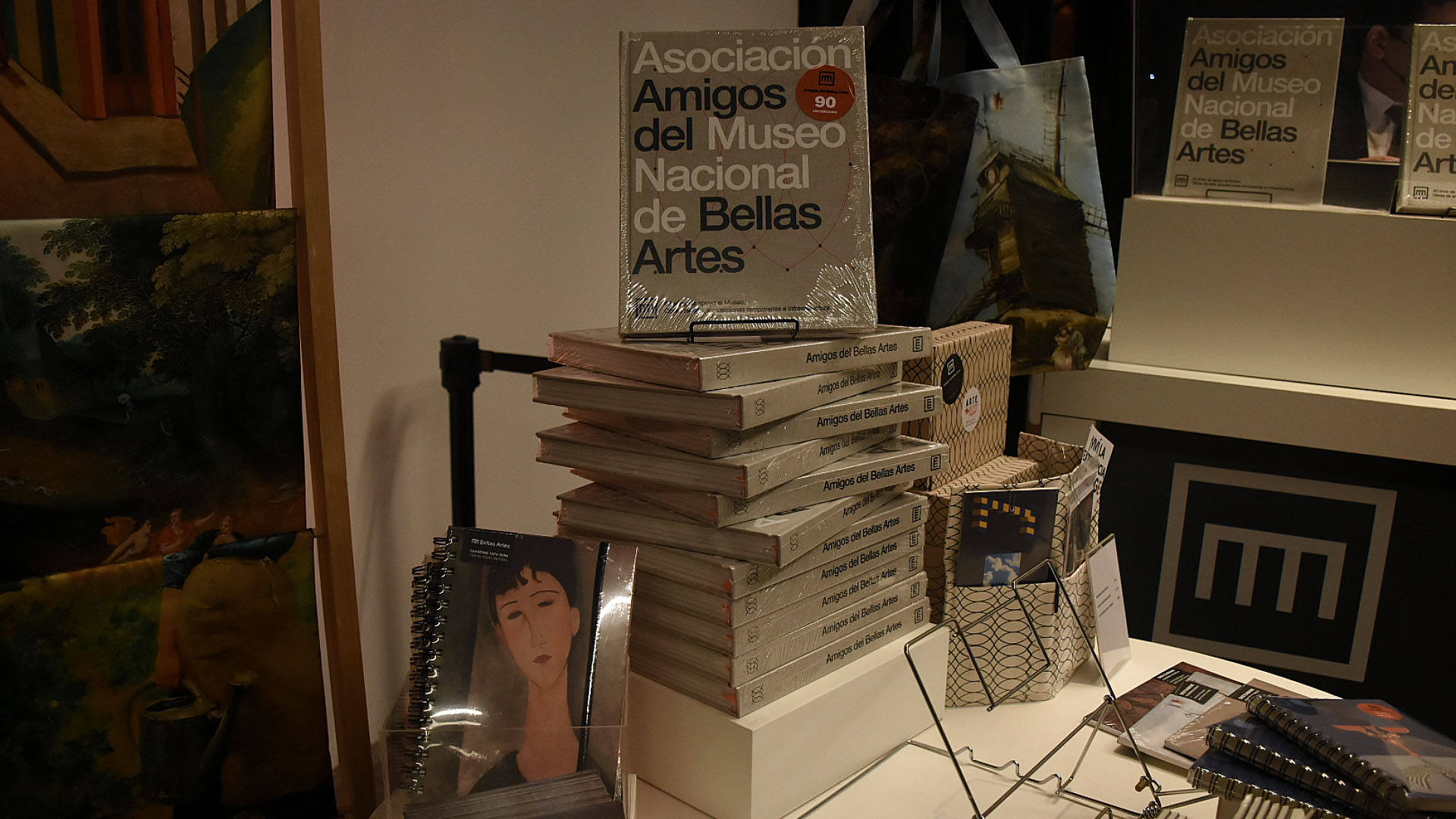 Libro Amigos del Museo de Bellas Artes. (Foto: Nicolas Stulberg)