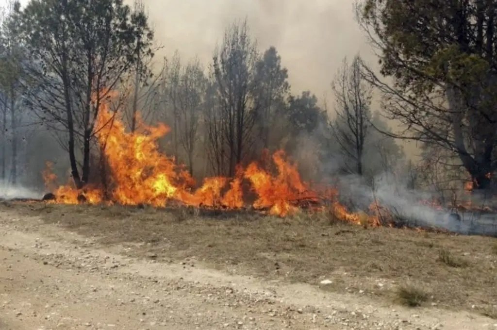 En Jujuy el fuego de los incendios forestales avanzó sobre parte del Parque Nacional Calilegua