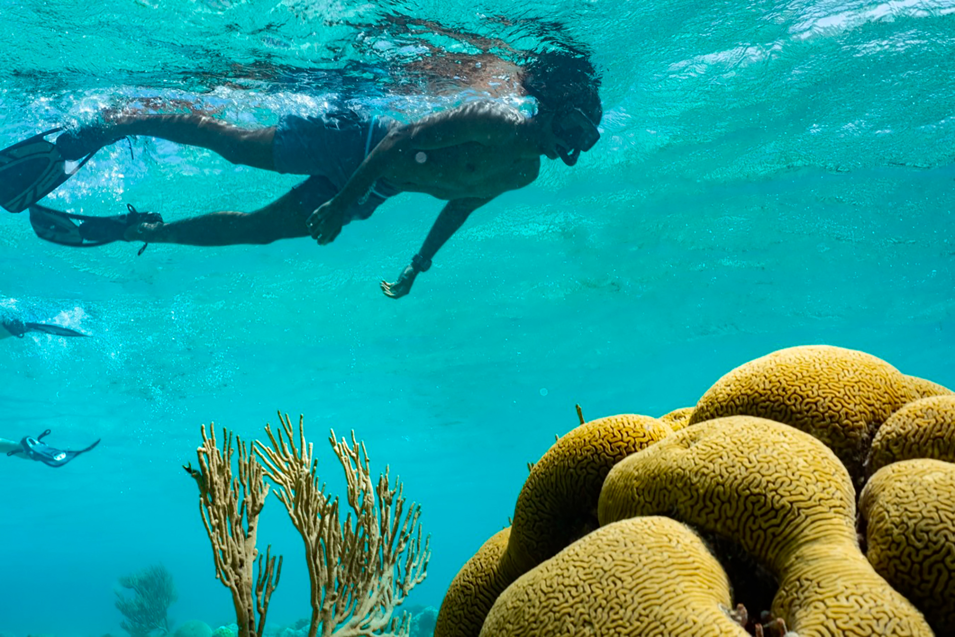 Boca Catalina: conocida como una de las mejores playas del Caribe para realizar snorkeling 