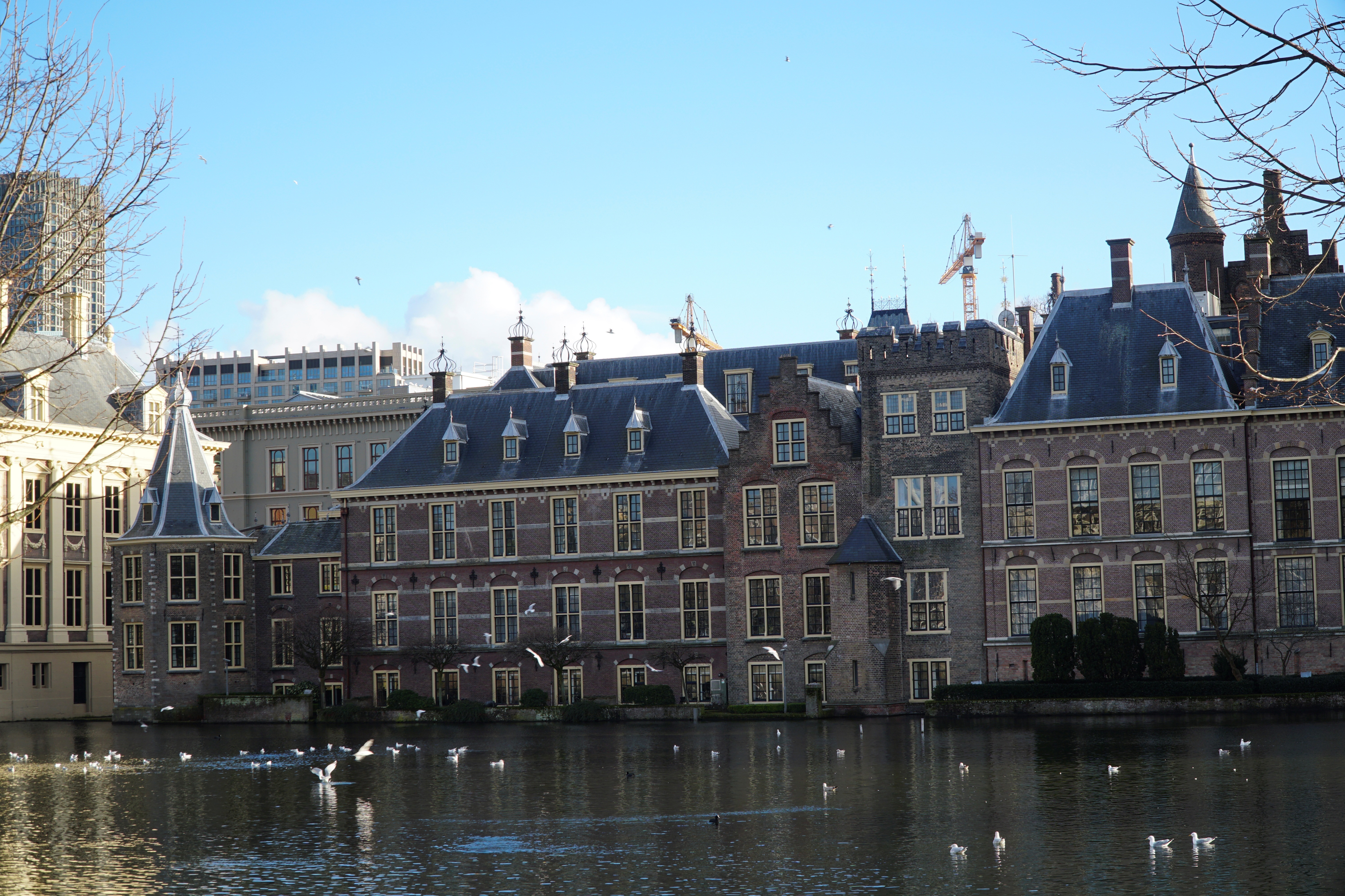 Jornada financiera: el dólar operó estable y se aleja del techo de las bandas cambiarias