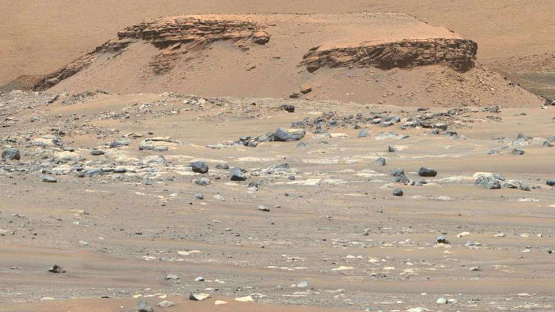 El Perseverance descubrió magma en sus exploraciones en Marte (NASA)