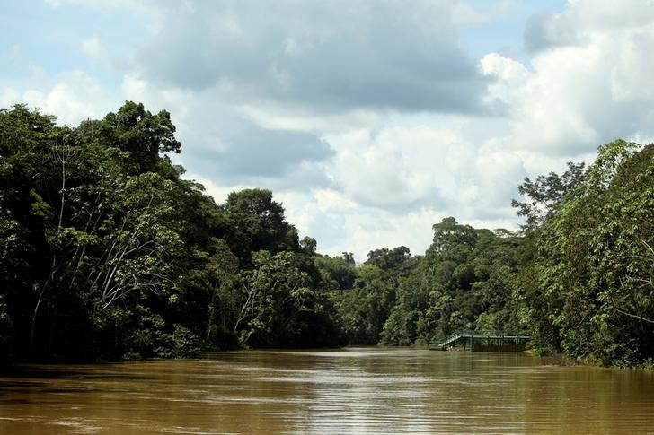 La Amazonía ecuatoriana es uno de los lugares más biodiversos del mundo y aunque está protegida, los proyectos mineros y petroleros se han asentado allí.  (REUTERS/Daniel Tapia)
