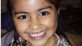 Caso Guadalupe Lucero: un hombre aseguró ante la policía de San Luis haber matado a la niña