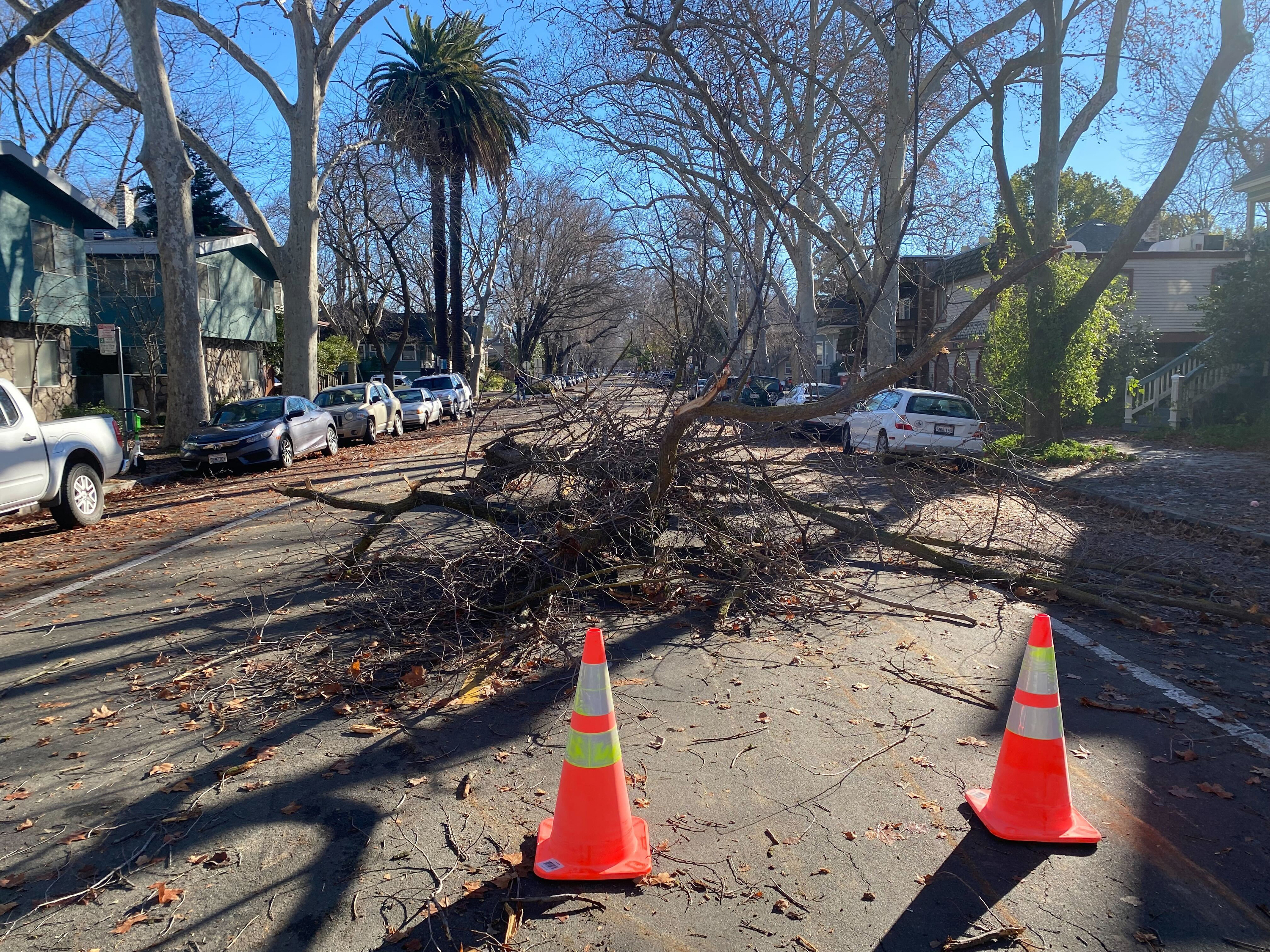 Tres ramas bloquean una calle en Sacramento