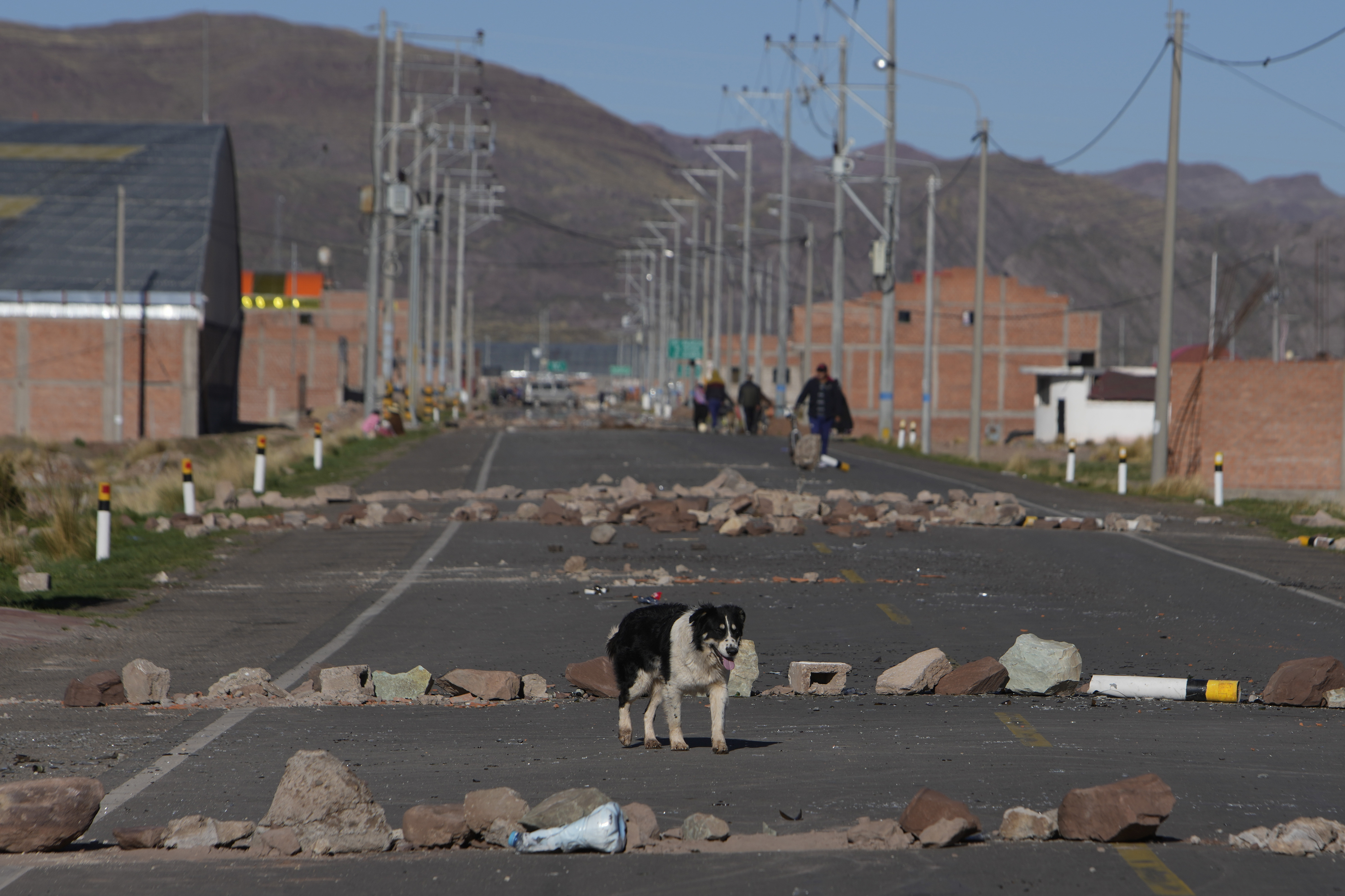 Un perro pasa frente a los bloqueos de carreteras establecidos por manifestantes antigubernamentales en Desaguadero, Perú, en la frontera con Bolivia, el viernes 13 de enero de 2023. (AP Foto/Juan Karita)