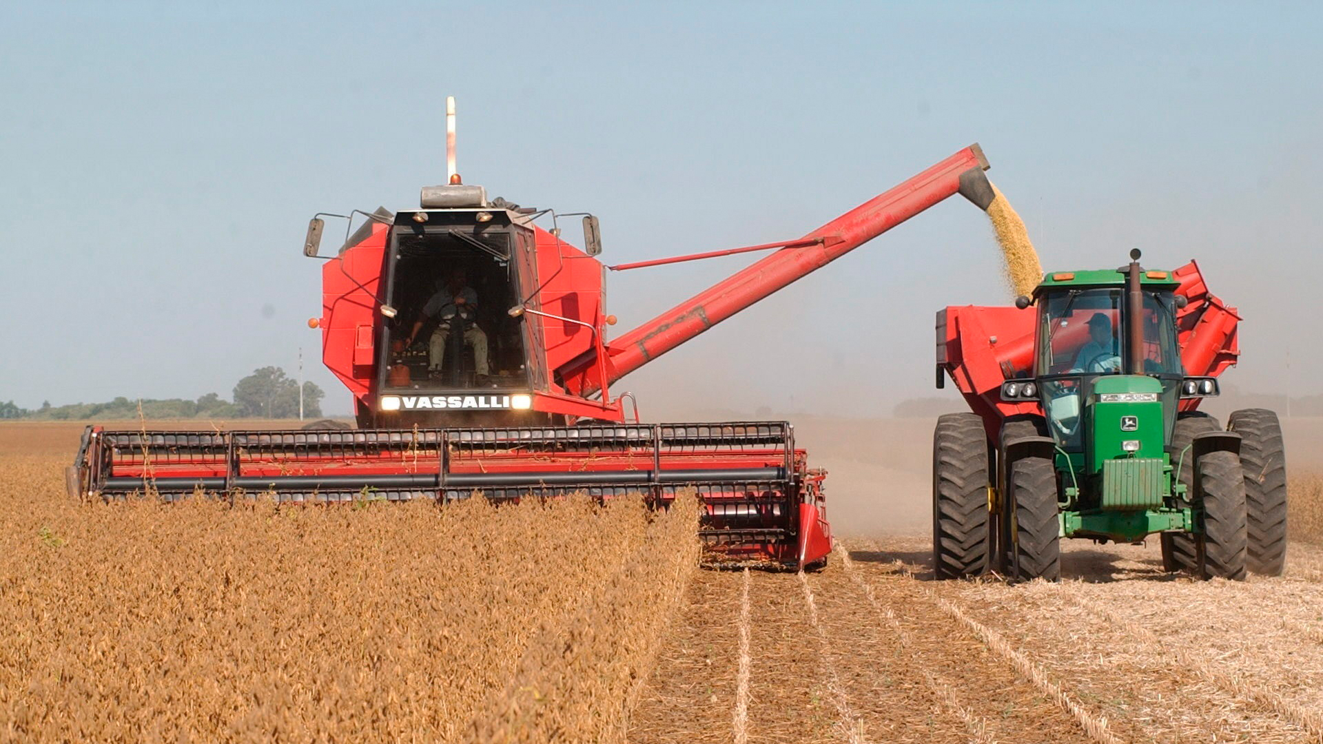 La actividad agropecuaria argentina es de tipo extensivo. De los más de 37 millones de hectáreas sembradas, cuatro granos representan la mayor parte de la superficie cultivada del país: trigo, maíz, girasol y soja (Archivo DEF)