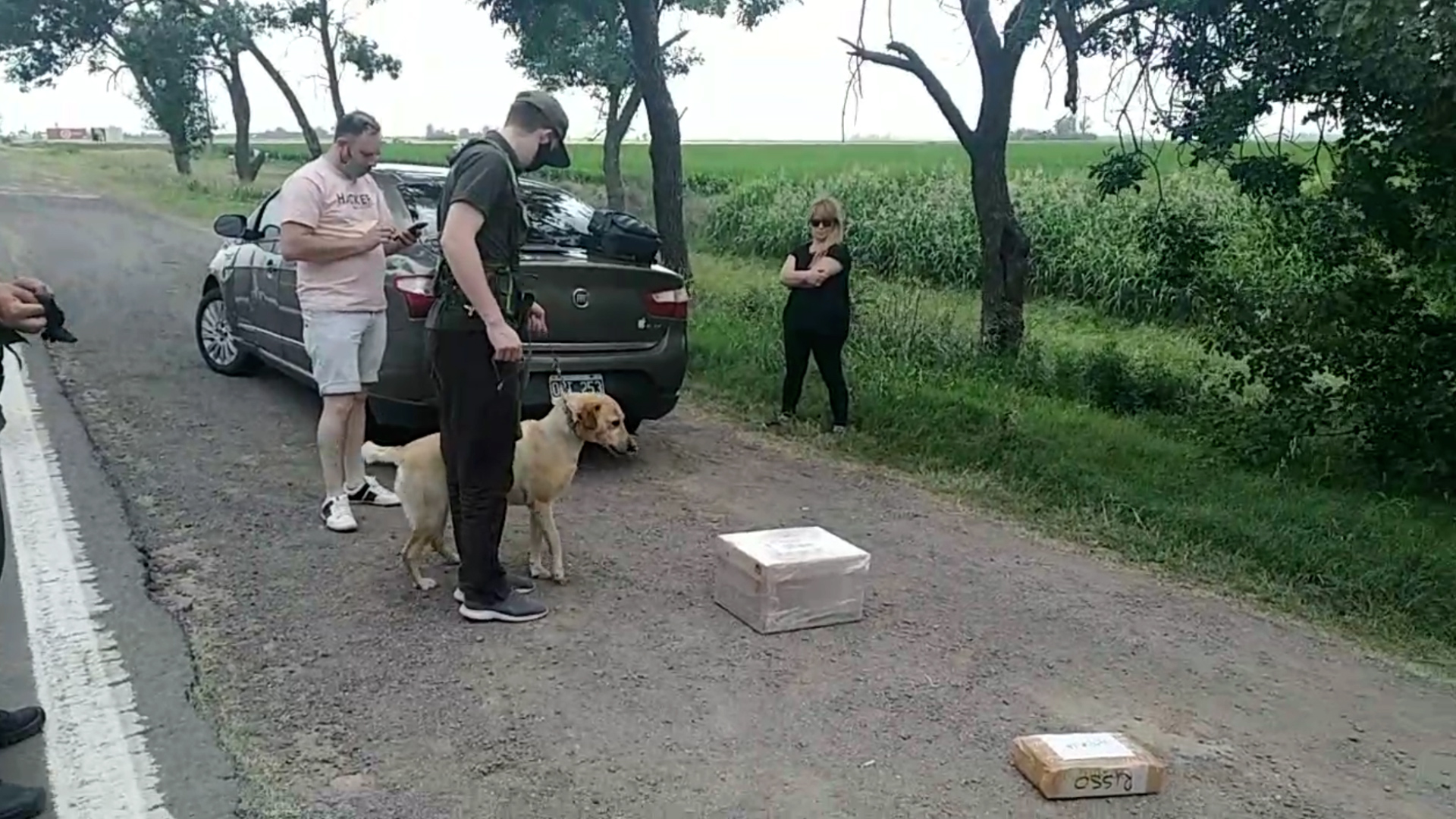Una vez que encontraron las cajas, el perro en busca de drogas las olfateó, pero el resultado fue negativo