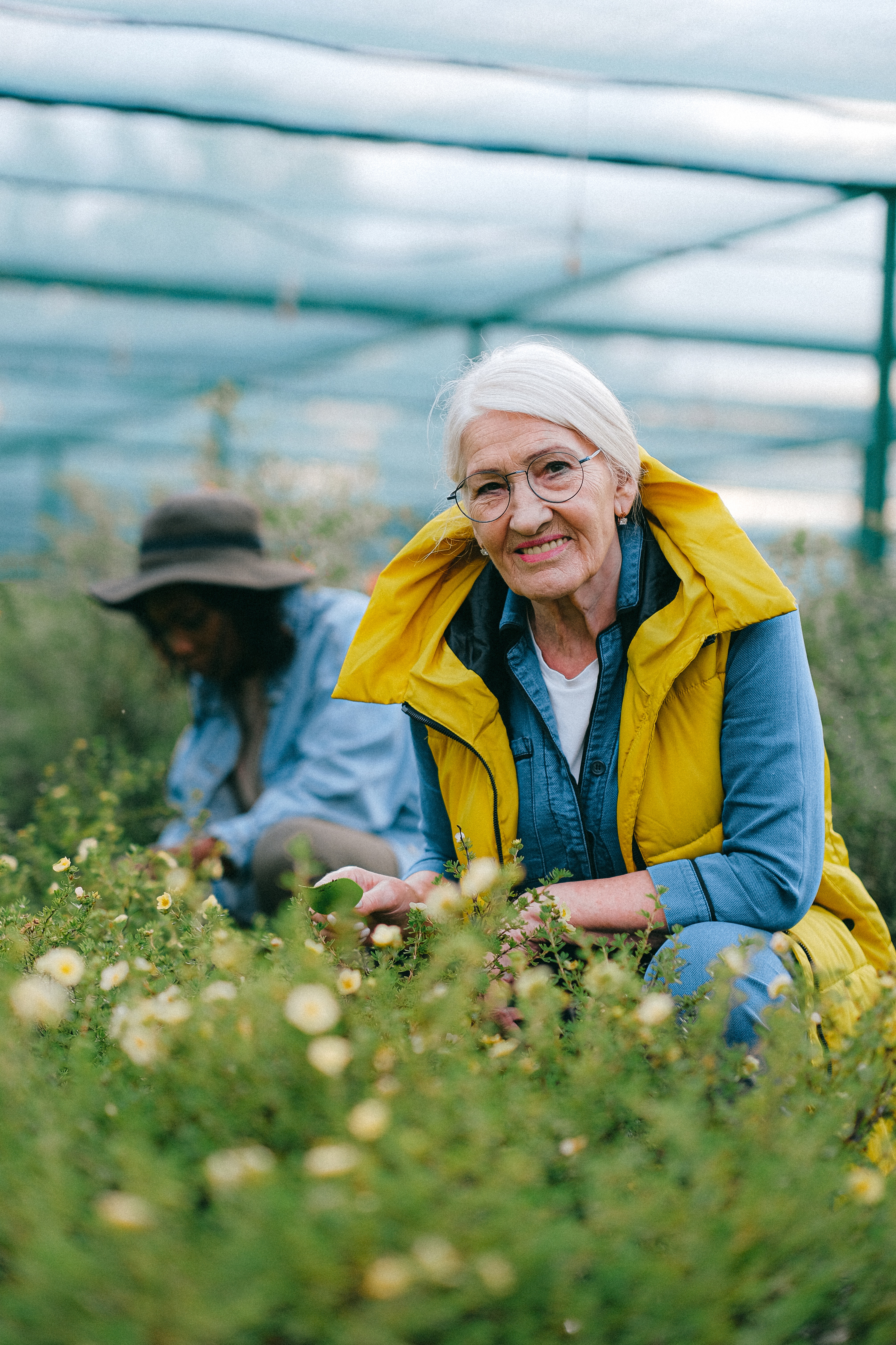 Gardening has several health benefits, such as reducing the risk of Alzheimer's (Pexels)