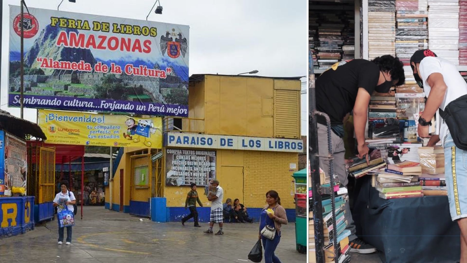 Amazonas La Librería Popular Más Grande De Latinoamérica Se Ubica En Perú Infobae 6802