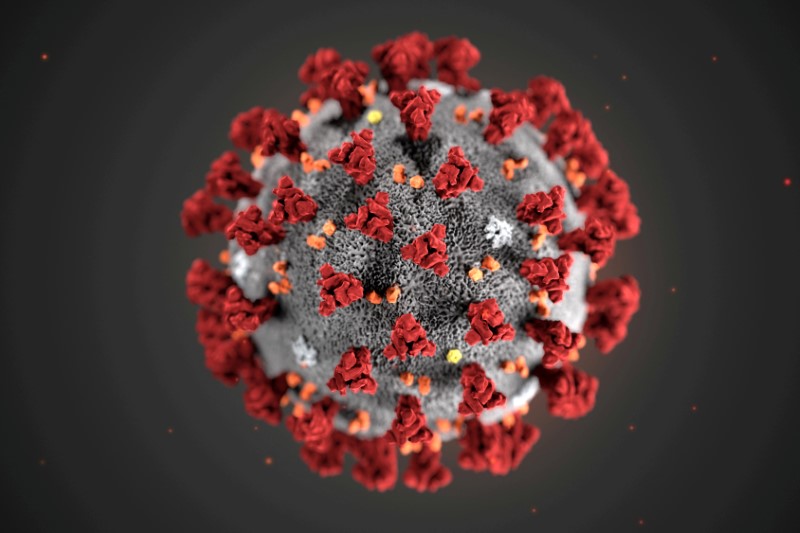 Ilustración, creada en los CDC, del nuevo coronavirus 2019, Atlanta, EEUU (MAM/CDC/Entregada vía REUTERS)