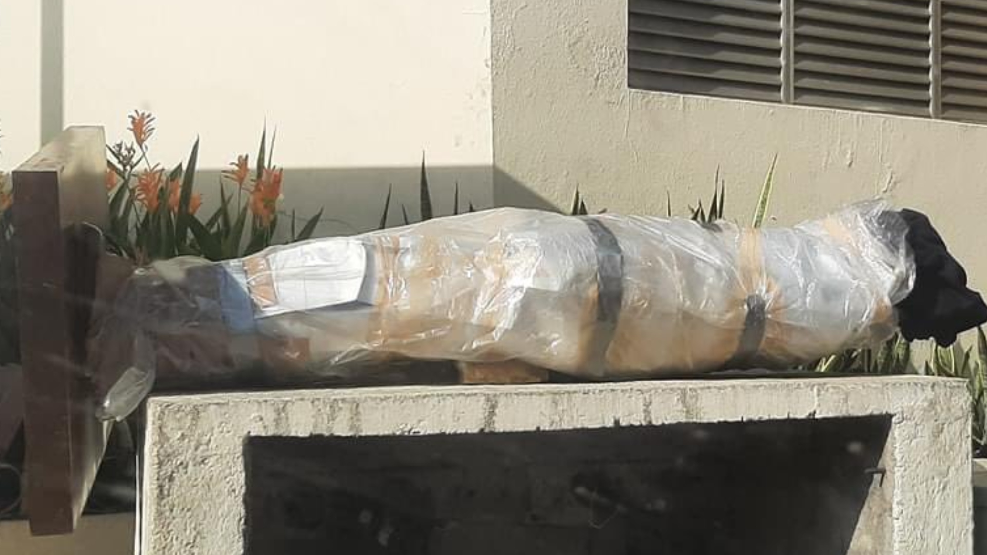 Inauguraron y vandalizaron estatua de Eugenio Derbez en Acapulco (Foto: Twitter / @imsadokg)