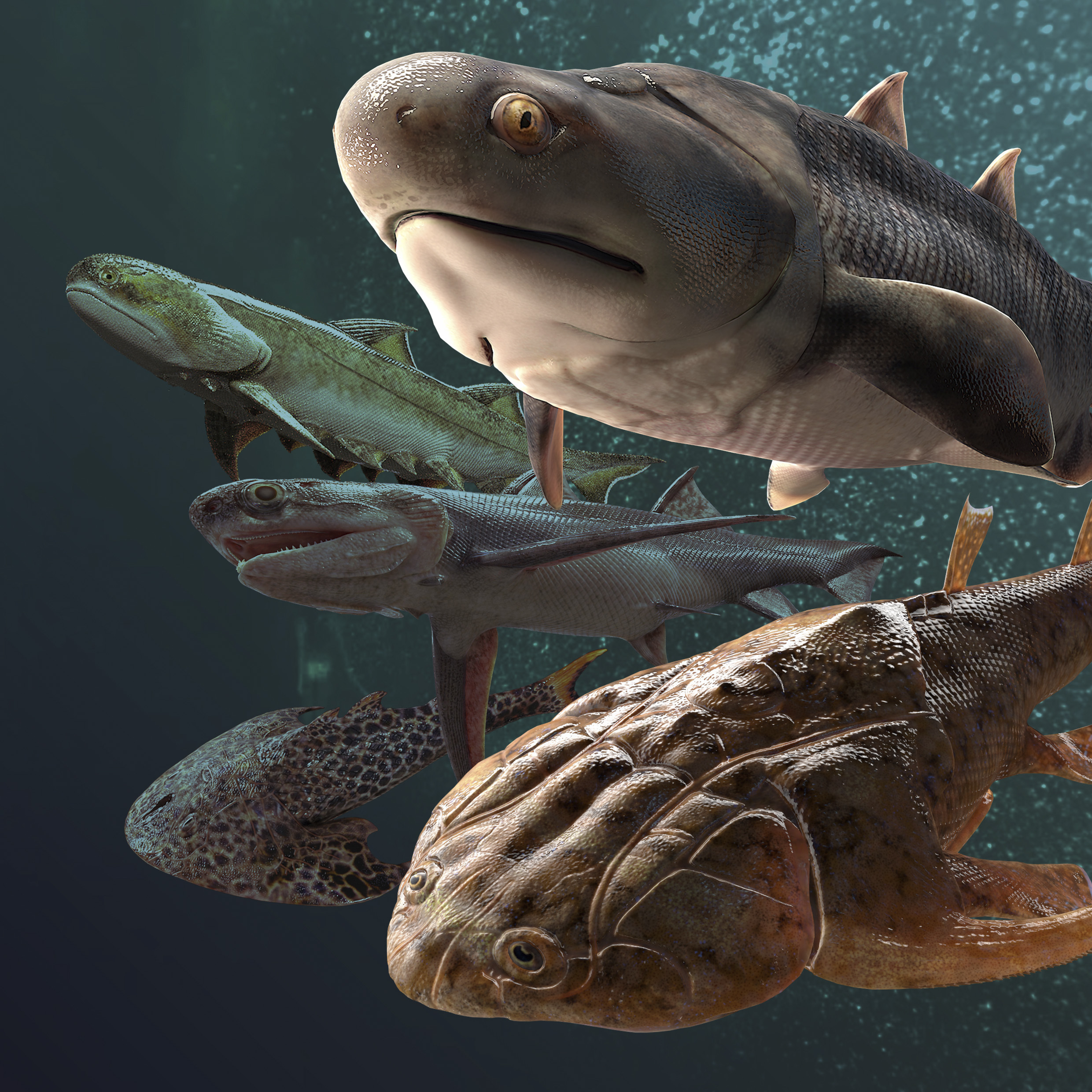 Ilustración: algunos de los peces fósiles, de hace más de 400 millones de años, hallados en el sur de China y anunciados en estudios publicados en la revista Nature (AP)