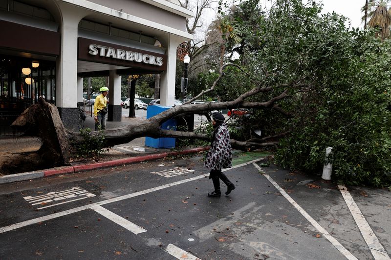 Peatones caminan alrededor de un árbol que cayó durante una tormenta en el centro de Sacramento, California