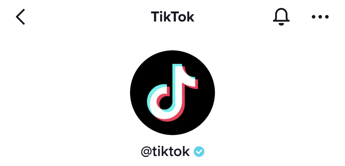 Cuenta de TikTok verificada. (foto: TikTok/Jose Arana)