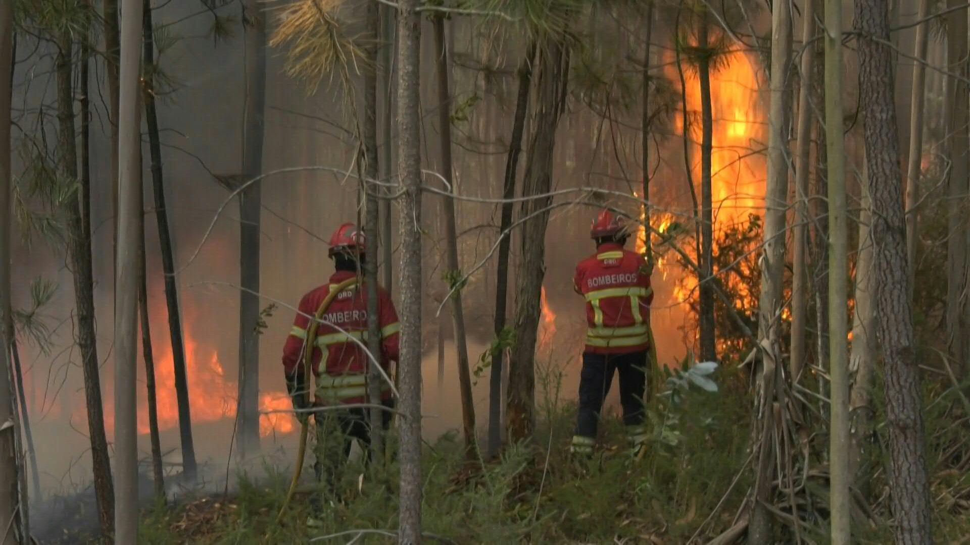 De Portugal à Grécia, os incêndios se espalham há dias na Europa, enquanto uma onda de calor sufocante atinge o Reino Unido e a França, principalmente.