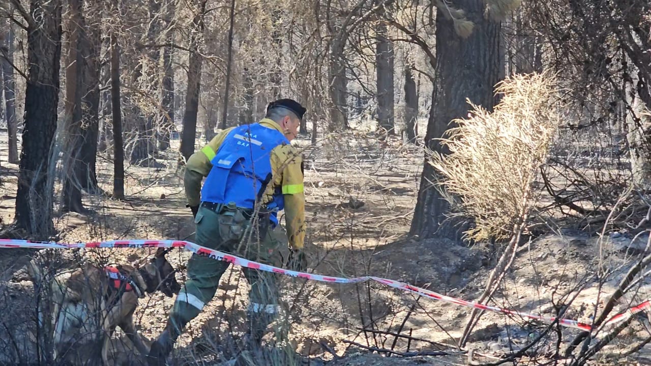 El Gobierno apuntó contra los mapuches por los incendios en Chubut y Río Negro: “Son golpistas del fuego”