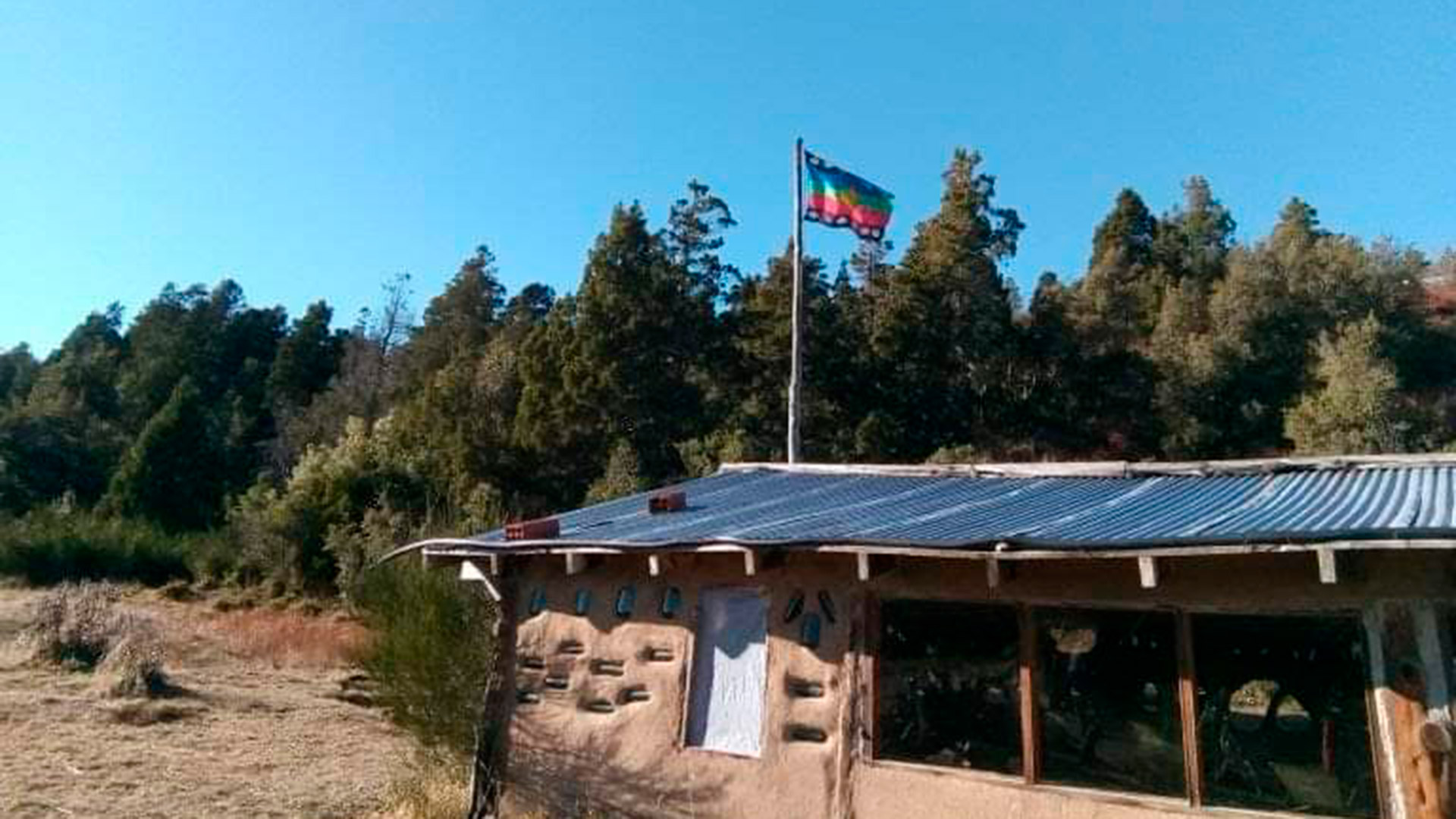 La bandera mapuche flameando en un terreno que una comunidad reclama como propio 