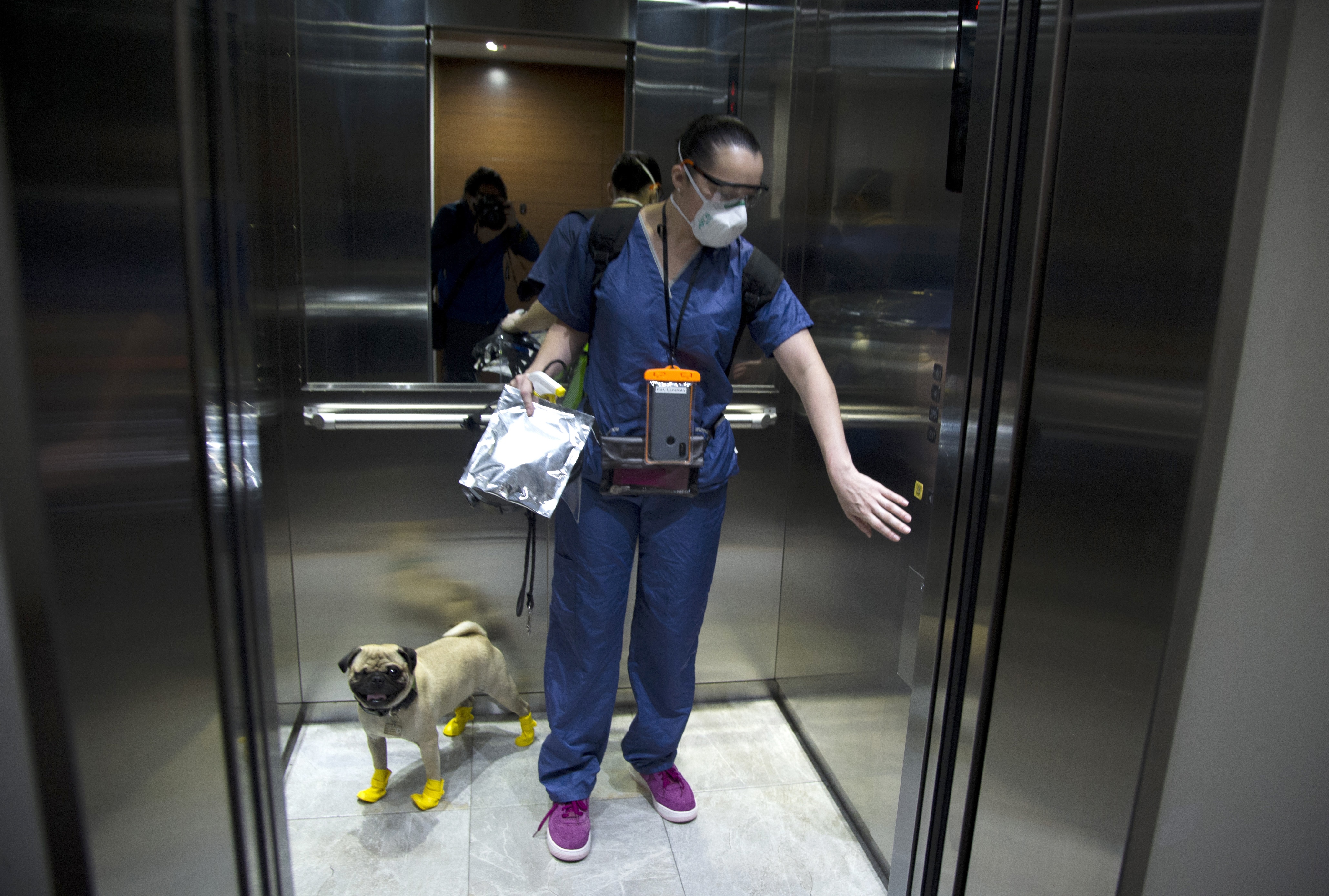 La psicóloga y neuropsicóloga Lucia Ledesma Torres y su perro Harley, también conocido como El Tuerto, usan un ascensor en la Ciudad de México. (Foto: Claudio Cruz/AFP)