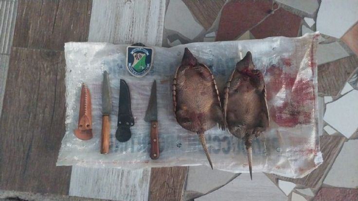 Kicillof le da forma el nuevo PJ bonaerense a la espera de la definición de las internas en los municipios 