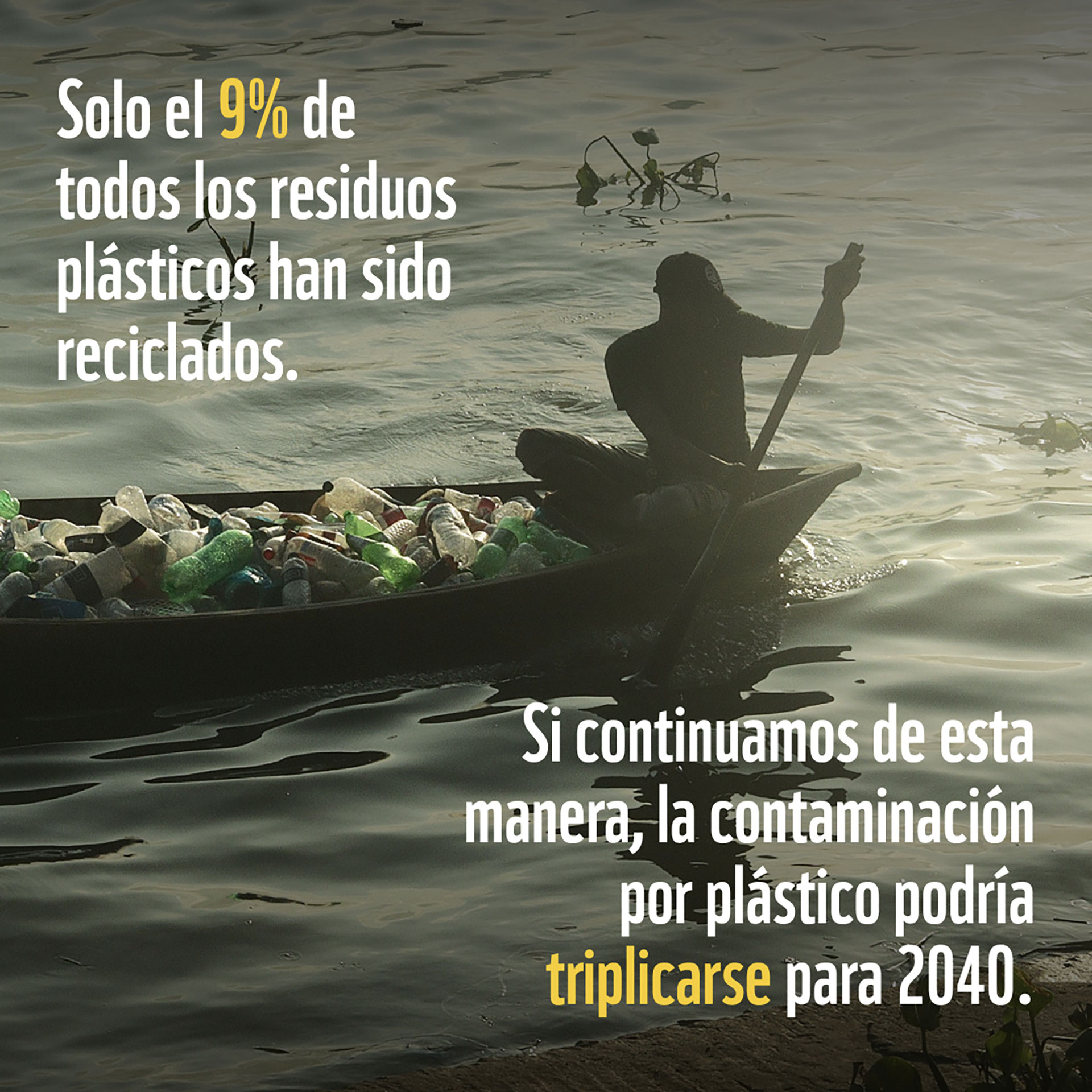 El 60% de todos los plásticos producidos ya habían llegado al final de su vida útil y habían sido desechados para 2015 / (Gentileza Fundación Vida Silvestre Argentina)