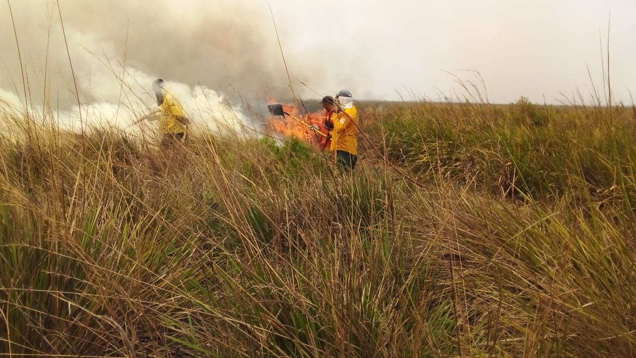 Siguen Los Incendios En Corrientes Registraron 14 Focos Y El Fuego