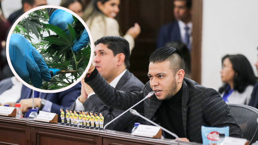 Jota Pe Hernández quiere hundir la legalización del cannabis en Colombia: “Aquí no vengan con romanticismos”