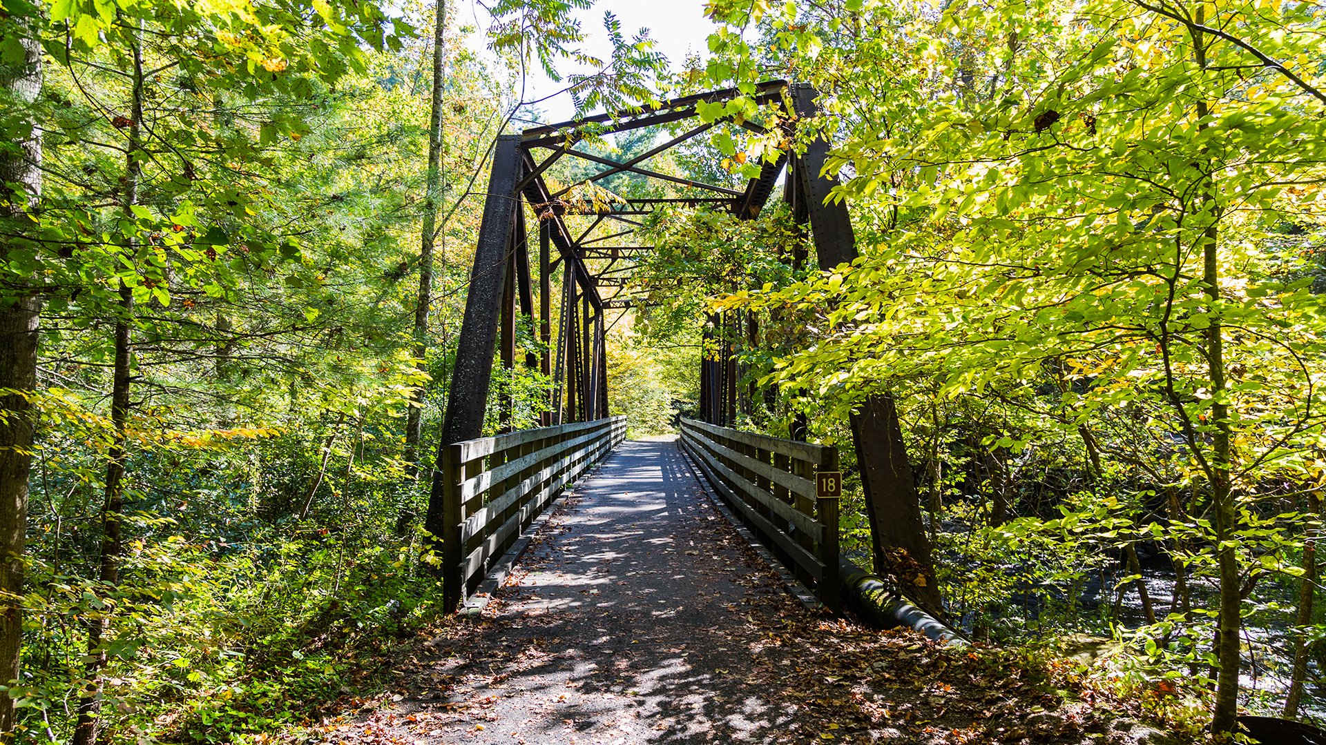 Es una ruta de casi 800 kilómetros de ‘bikepacking’, una especialidad que mezcla senderismo y cicloturismo, que atraviesa algunos de los mejores paisajes del sur de Estados Unidos. Este ‘biketrail’ tiene una cuarta parte de la dimensión de la famosa ruta Appalachian Trail y casi se junta con ella, por lo que es una alternativa cada vez más popular para vivir una aventura al aire libre menos masificada y sostenible.