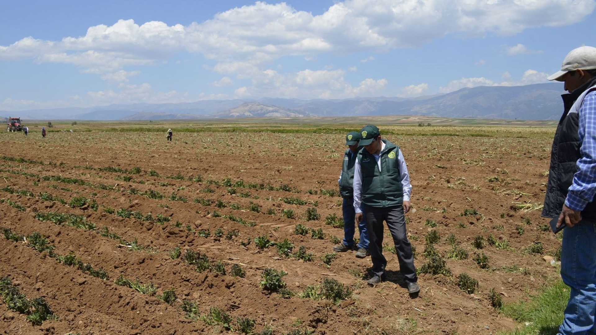 Drought bonus will be granted this year.  Photo: Andean
