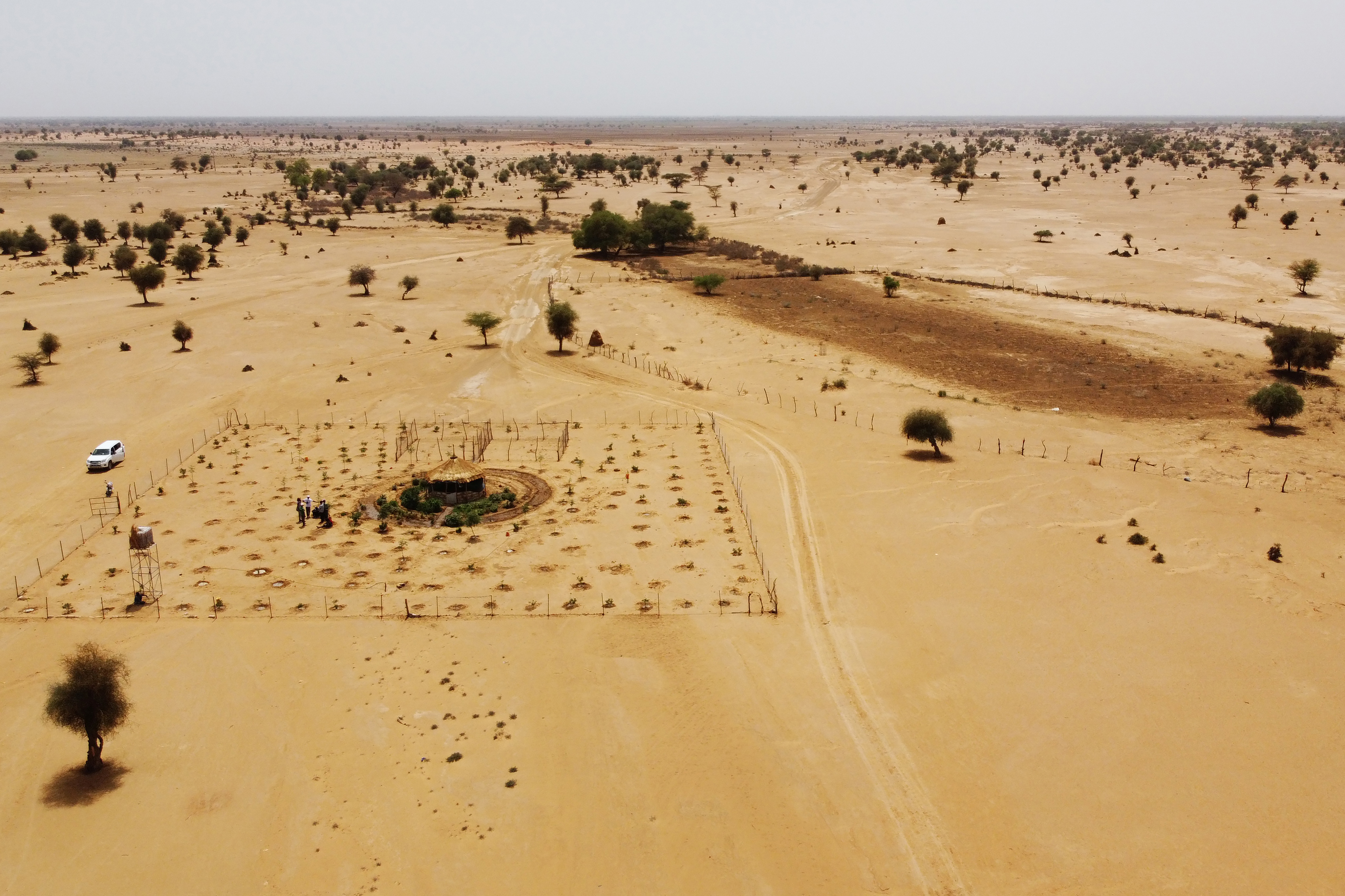 “La Gran Muralla Verde” propone ampliar los terrenos cultivables en una zona de casi 8.000 kilómetros a lo largo del Sahel (REUTERS)