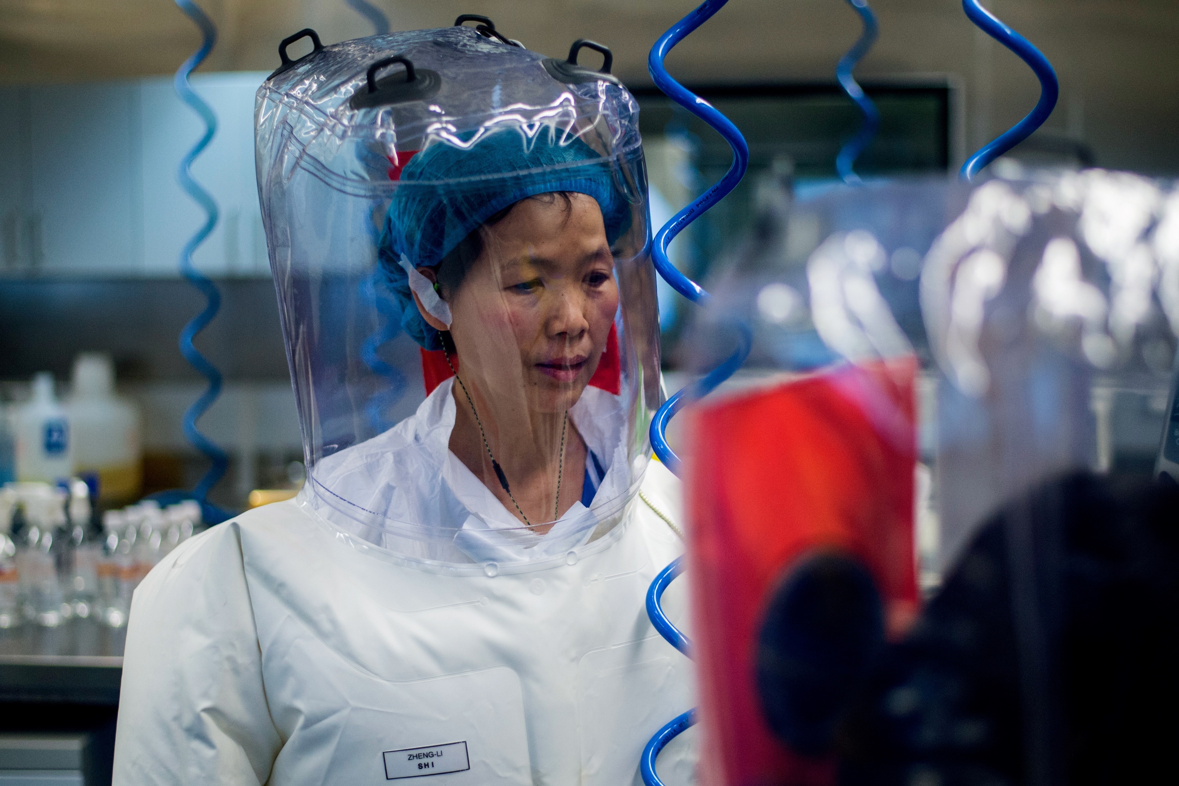 La viróloga china Shi Zhengli en el laboratorio P4 de Wuhan en una foto de 2017 (JOHANNES EISELE / AFP)