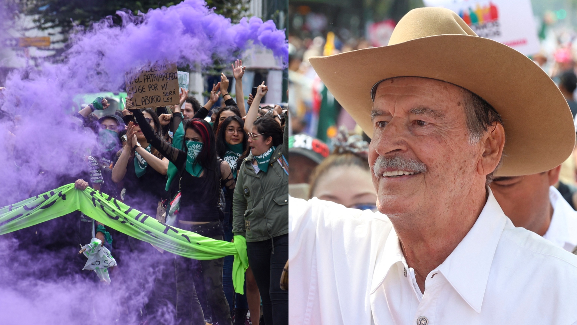 Green Tide Mexico demanded Vicente Fox not to include them in his power lawsuit with AMLO (CUARTOSCURO/REUTERS)