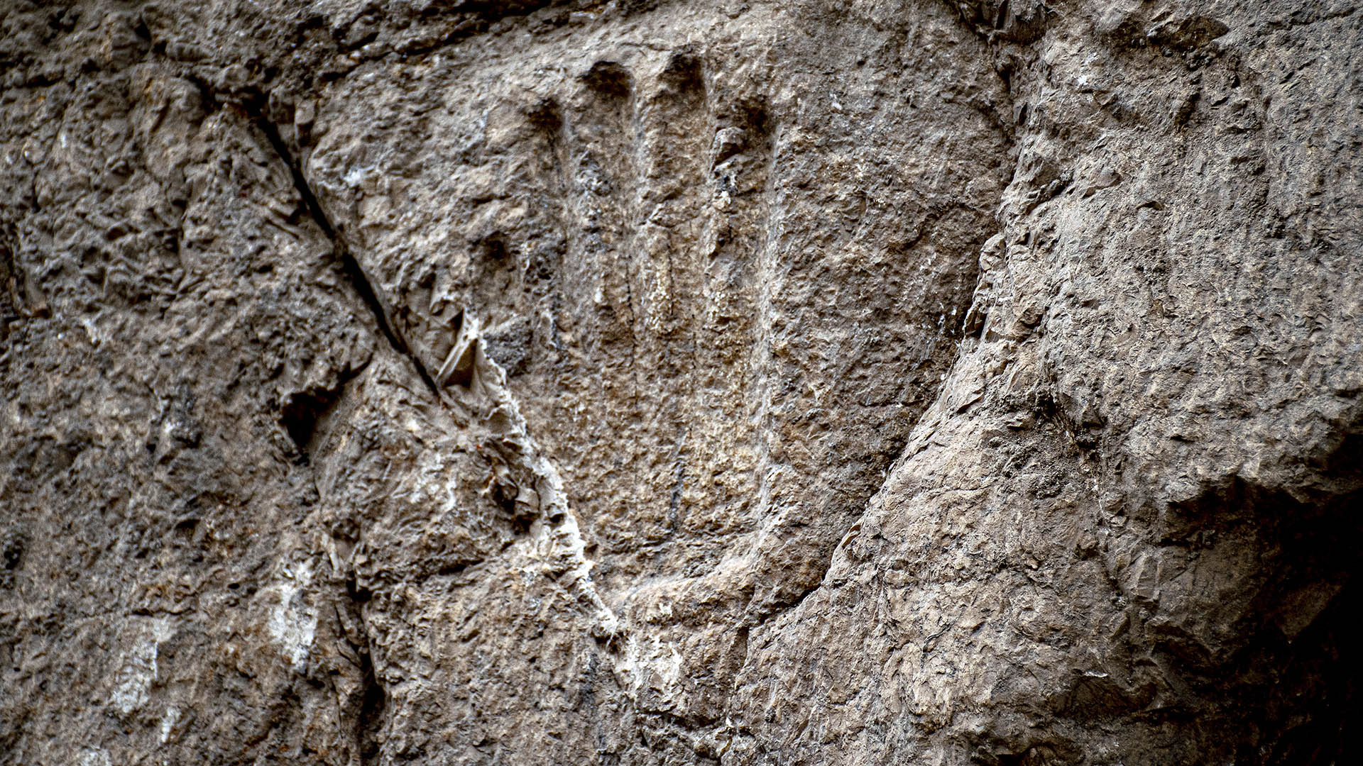 Una imagen proporcionada por la Autoridad de Antigüedades de Israel el 25 de enero de 2023 muestra la huella de una mano que se descubrió tallada en un foso seco de 1000 años de antigüedad que rodeaba la Ciudad Vieja de Jerusalén durante las excavaciones de las fortificaciones defensivas. (Foto de la Autoridad de Antigüedades de Israel / AFP)
