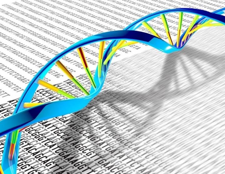 El ADN, que tiene una estructura de doble hélice, puede tener muchas mutaciones y variaciones genéticas. (NIH/Europa Press)