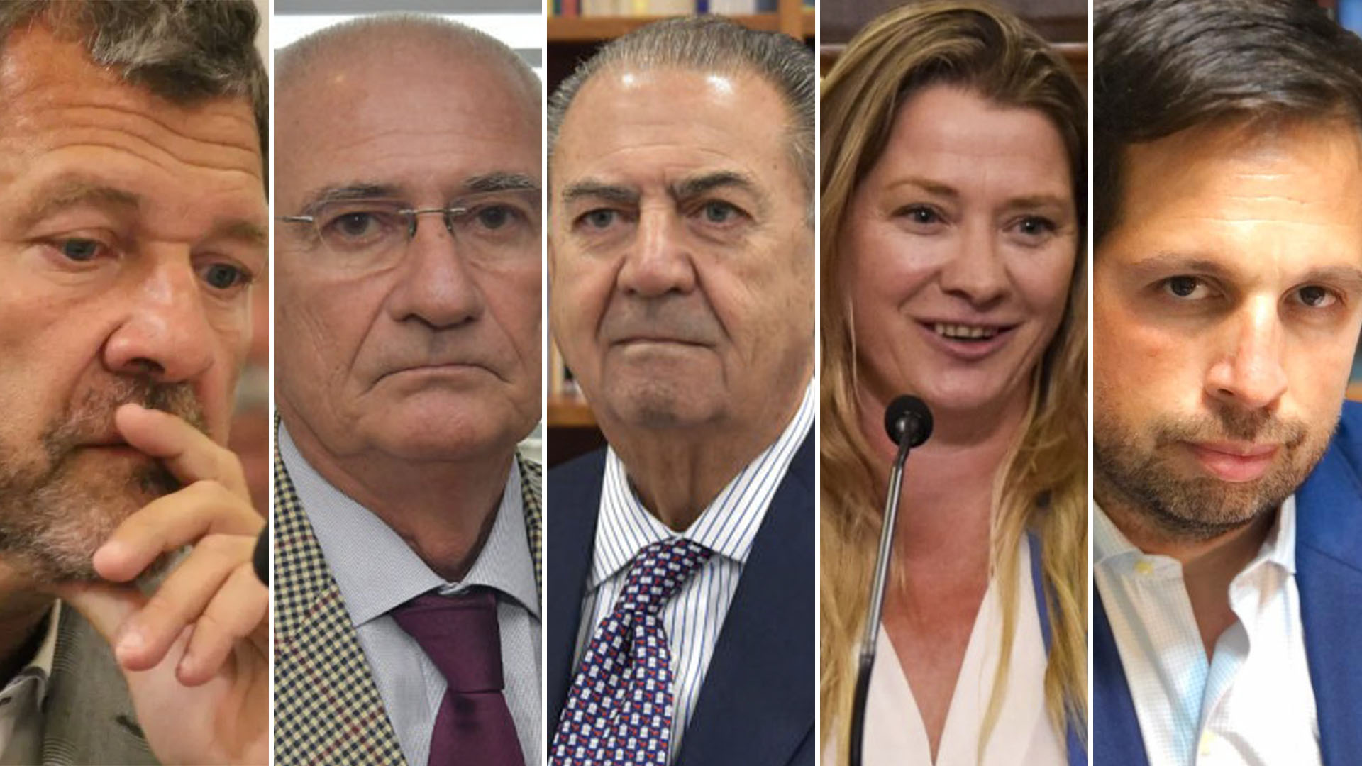 Los votos de la destitución: Armando Gay, Juan Smaldone, Daniel Carubia, Gisela Nerea Schumacher y Gonzalo García Garro.