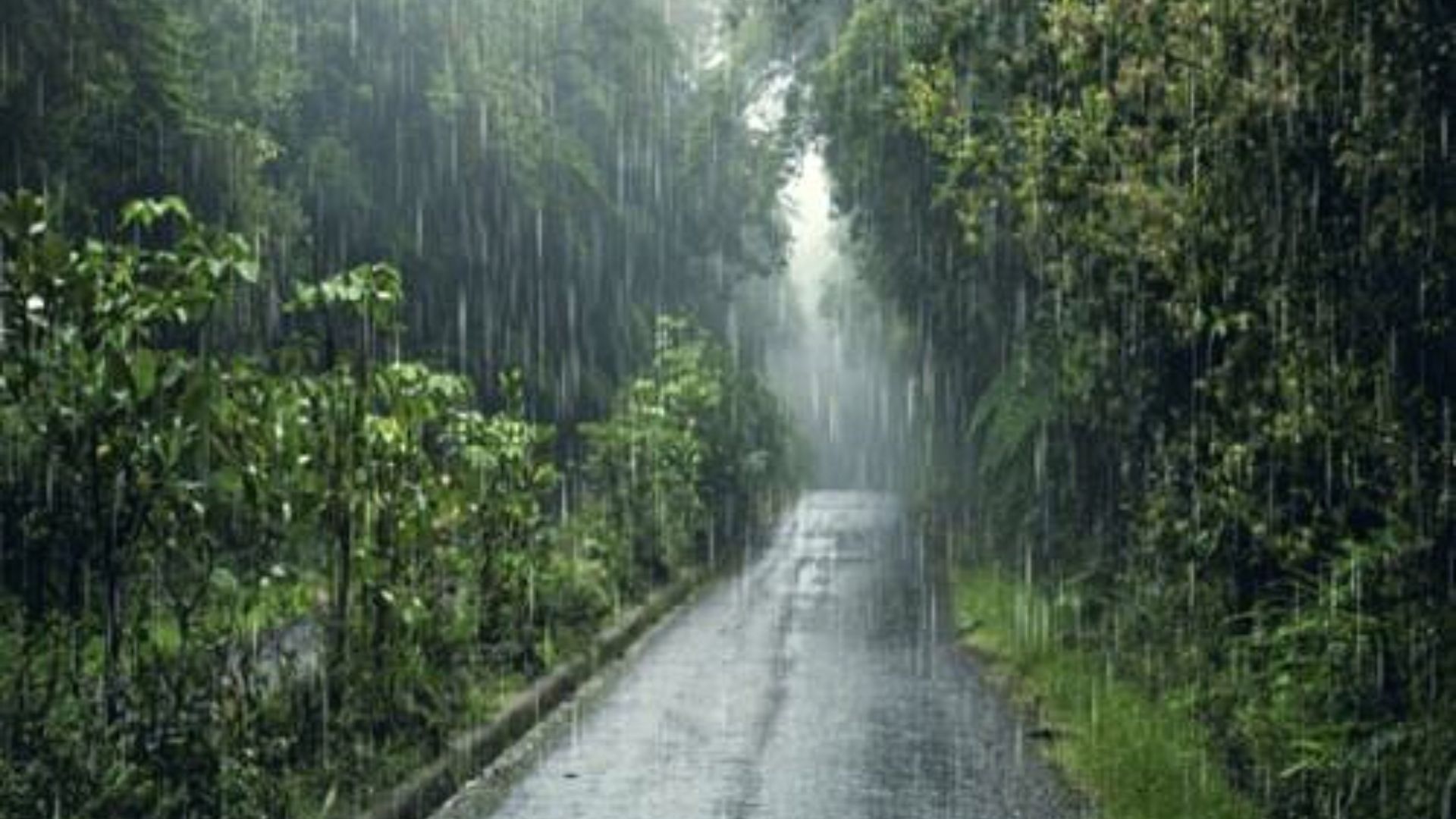 Clima En México 19 De Febrero 13 Estados Con Lluvia Y Fuertes Vientos Por Nuevo Frente Frío 5081